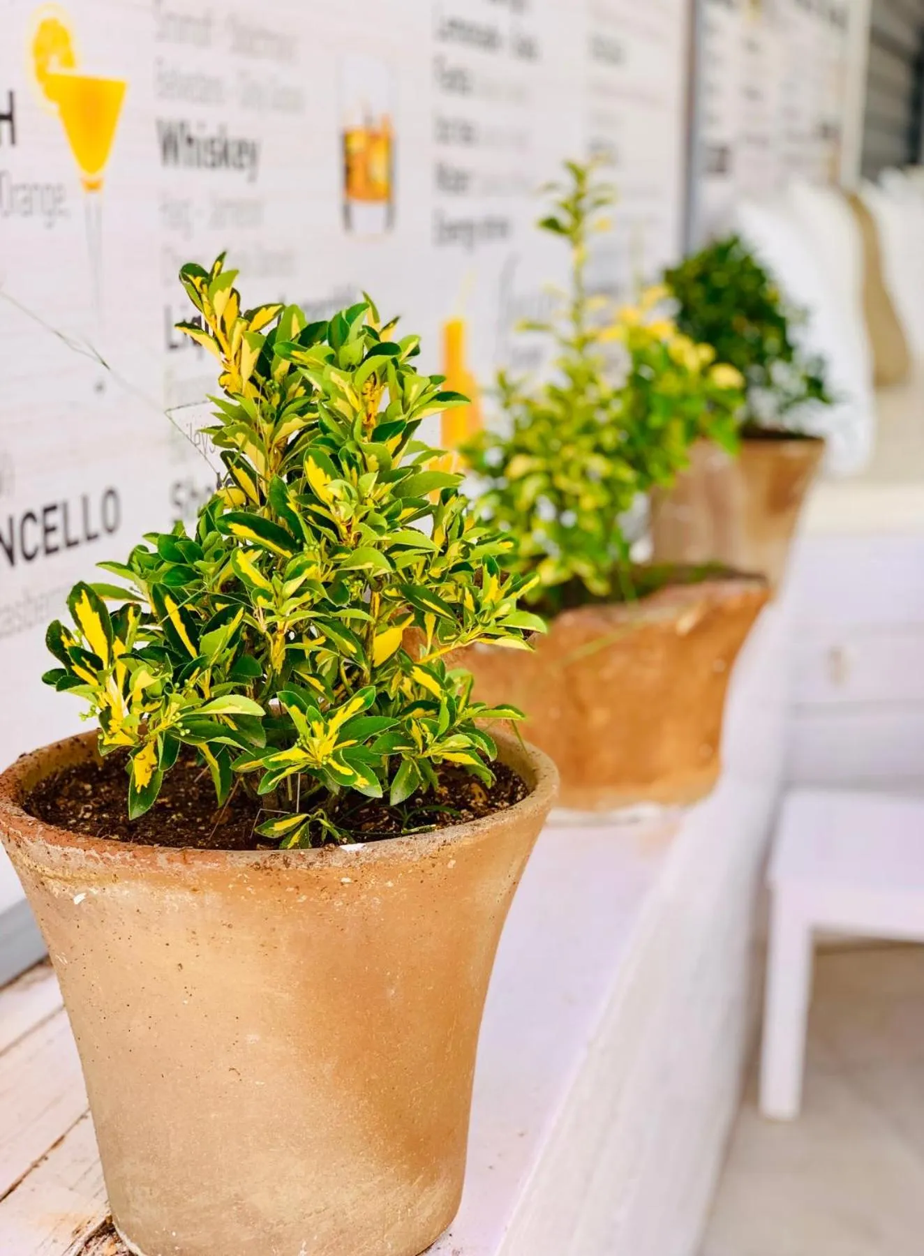 Decorative detail in Pleasure Beach Hotel