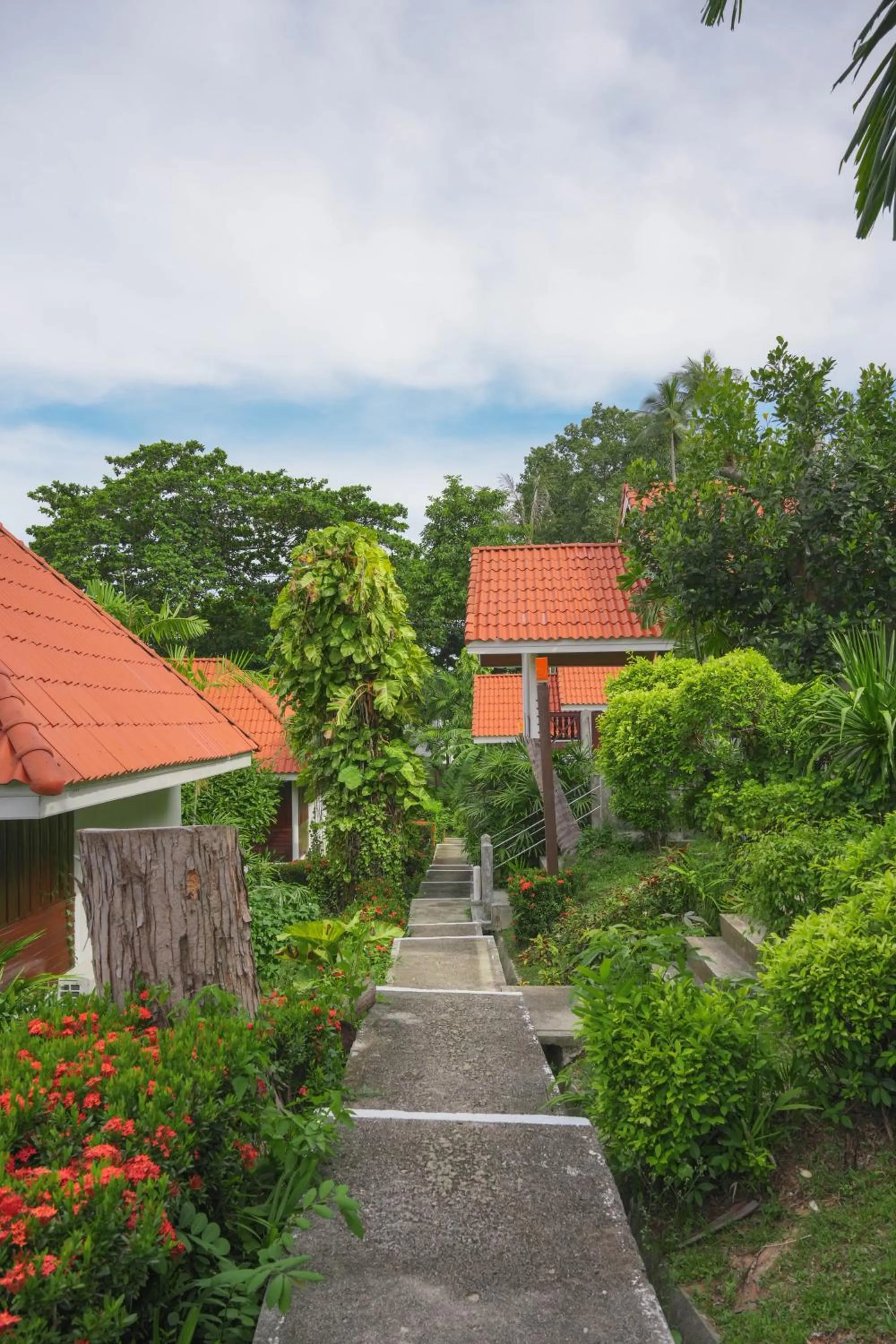Property building in New Star Beach Resort