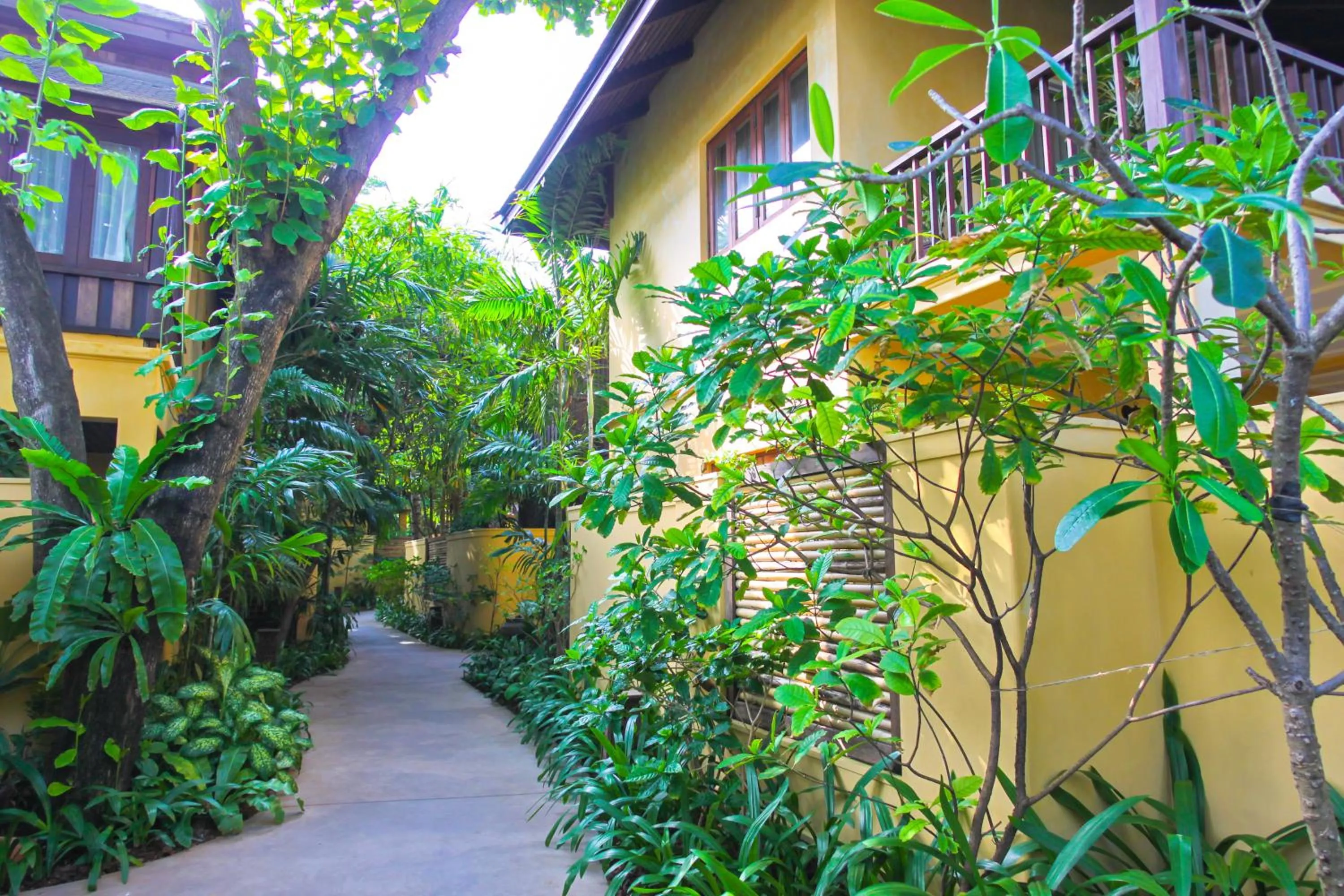 Garden in Buri Rasa Village Samui Adults Only