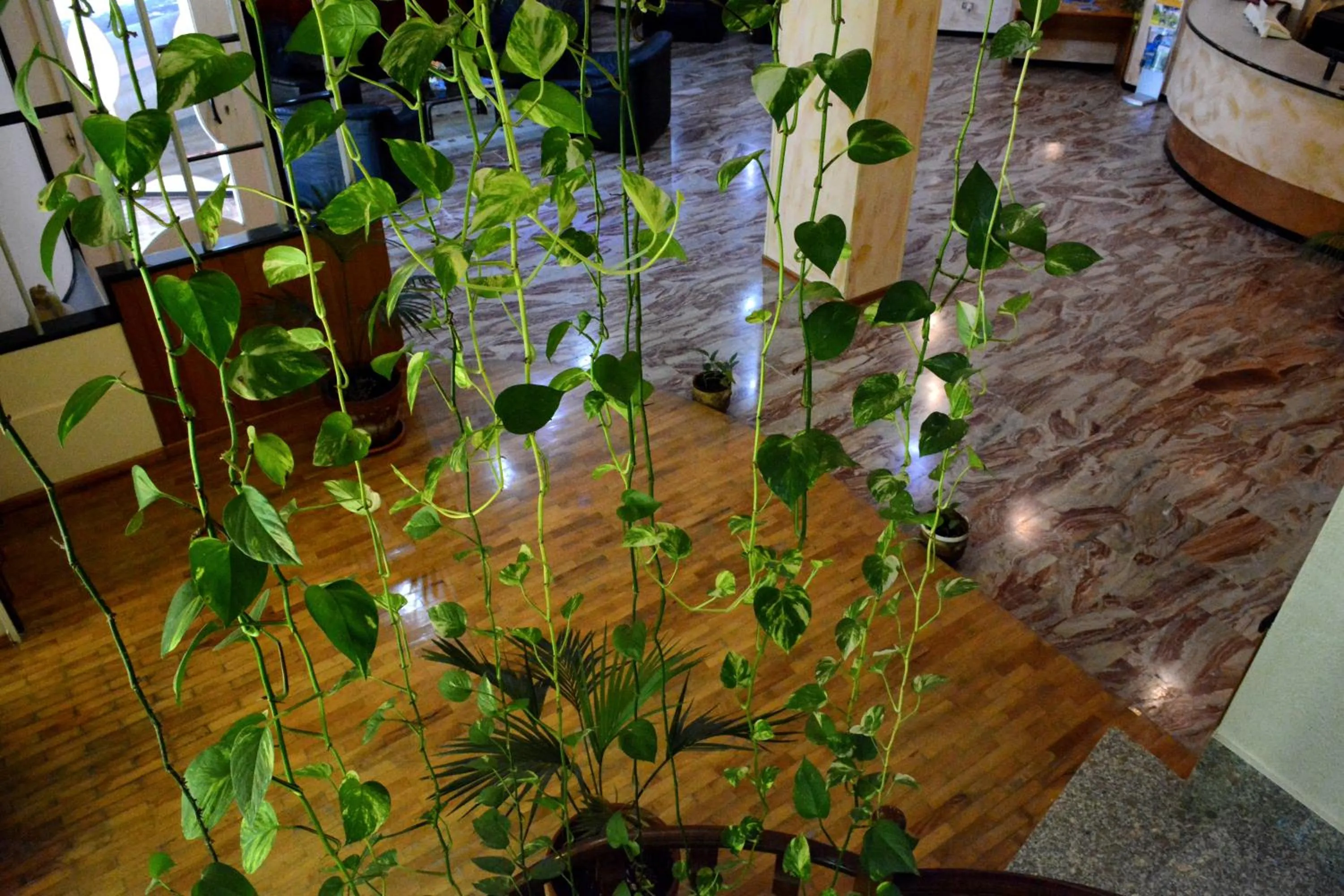 Communal lounge/ TV room in Castelvetere Hotel