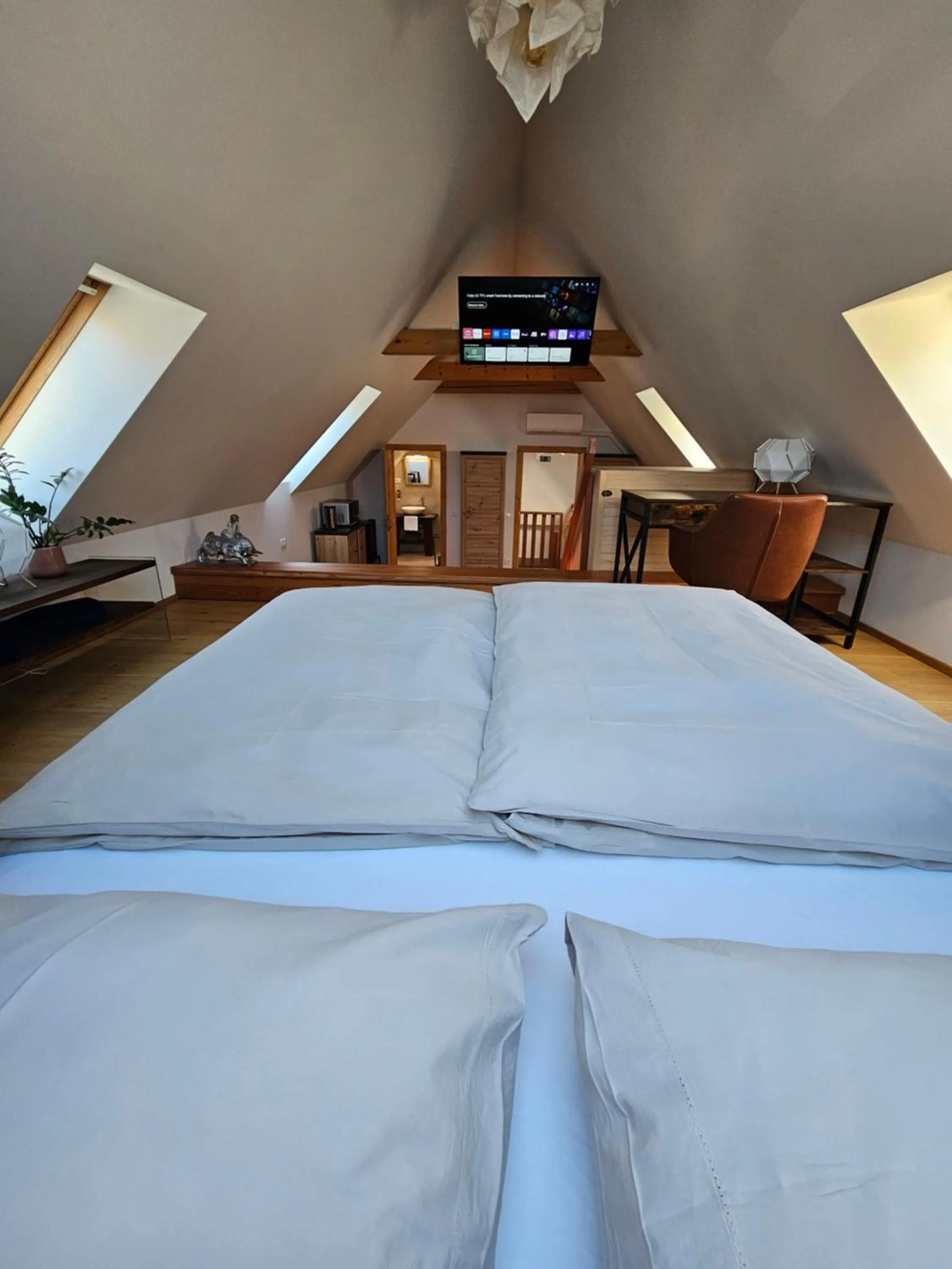 TV and multimedia, Bed in Hiša Ojstrica