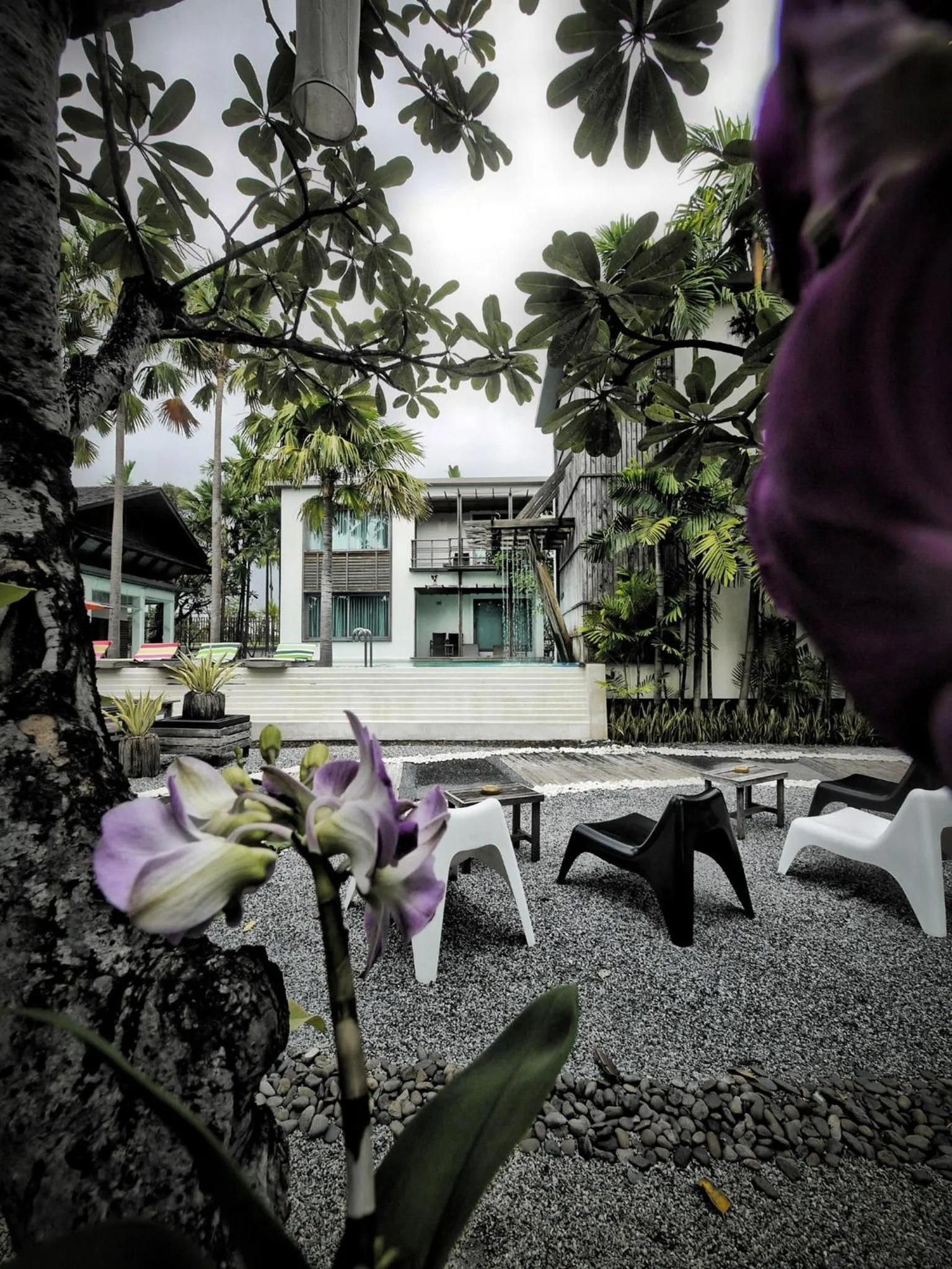 Natural landscape in Paragon Inn