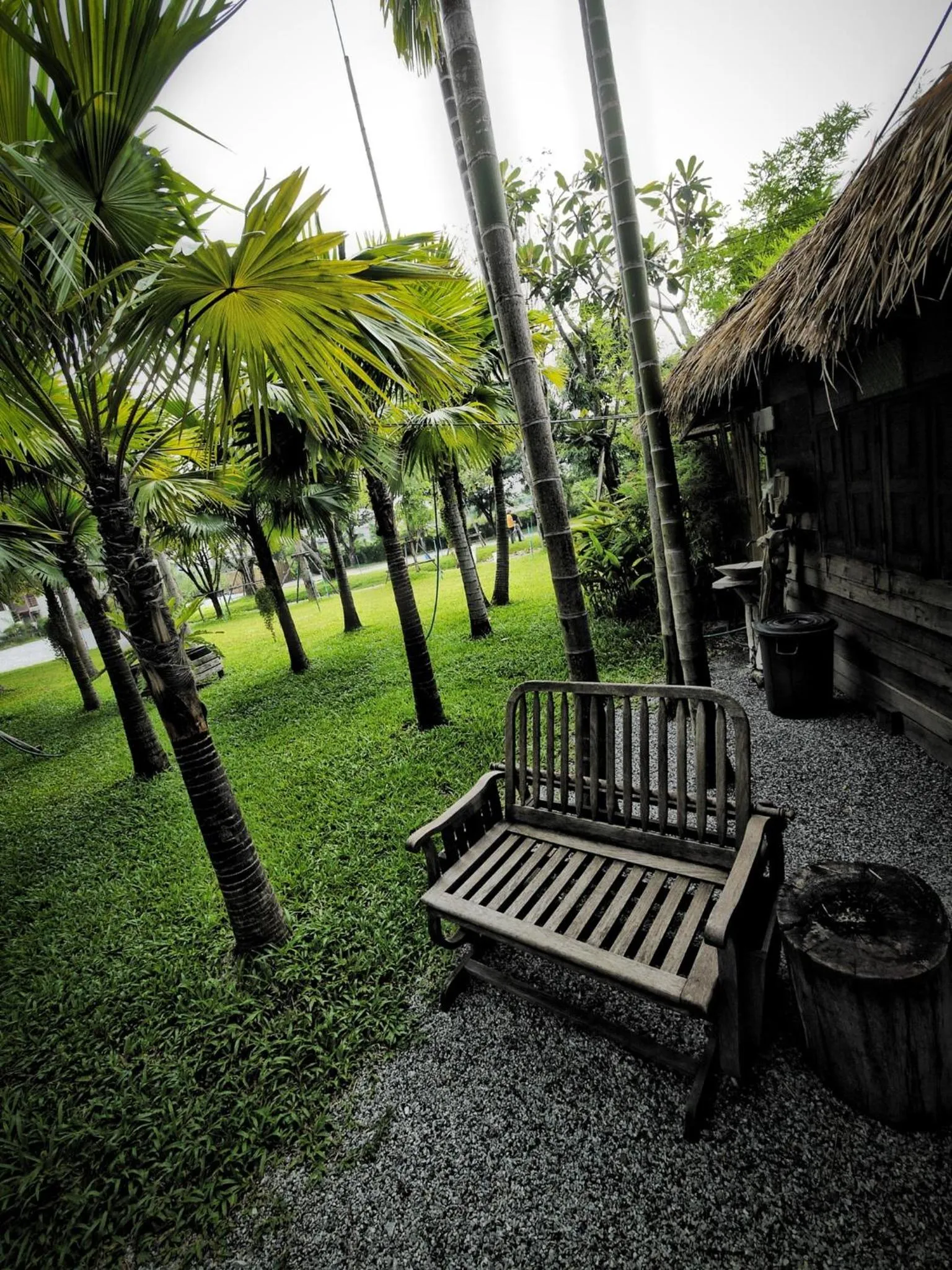 Natural landscape in Paragon Inn