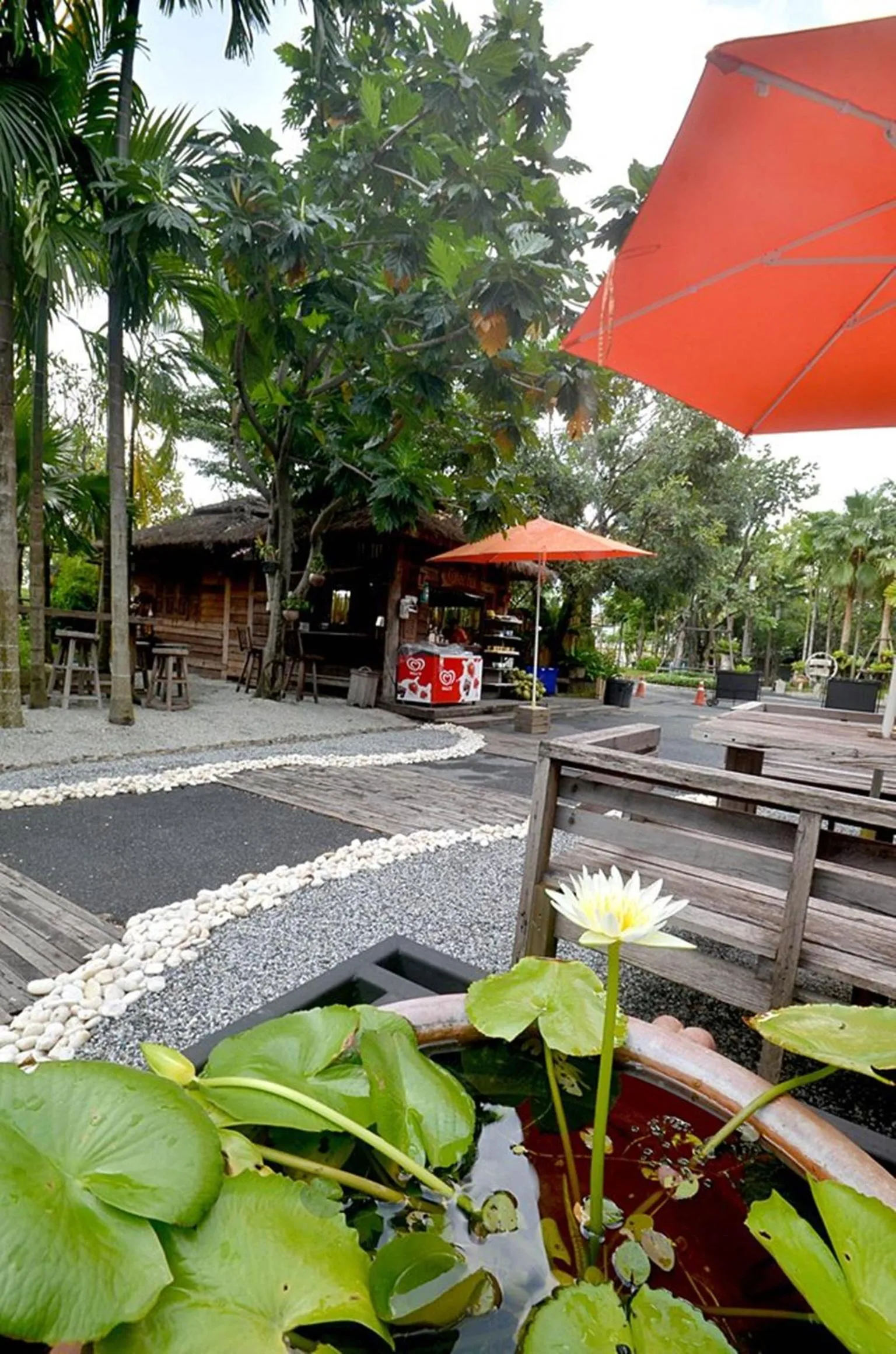 Swimming pool in Paragon Inn