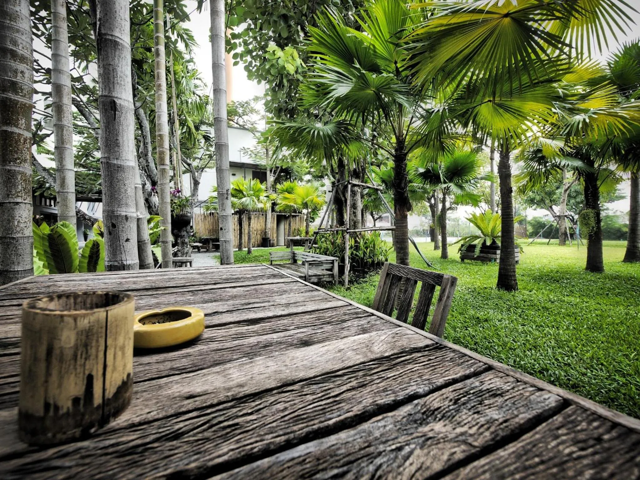 Natural landscape in Paragon Inn