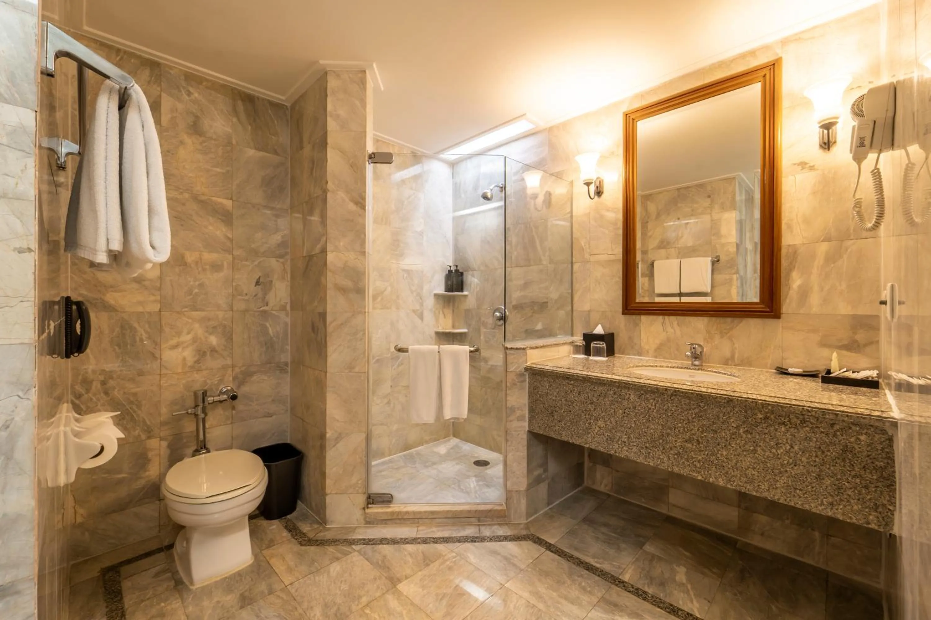 Toilet in Century Park Hotel