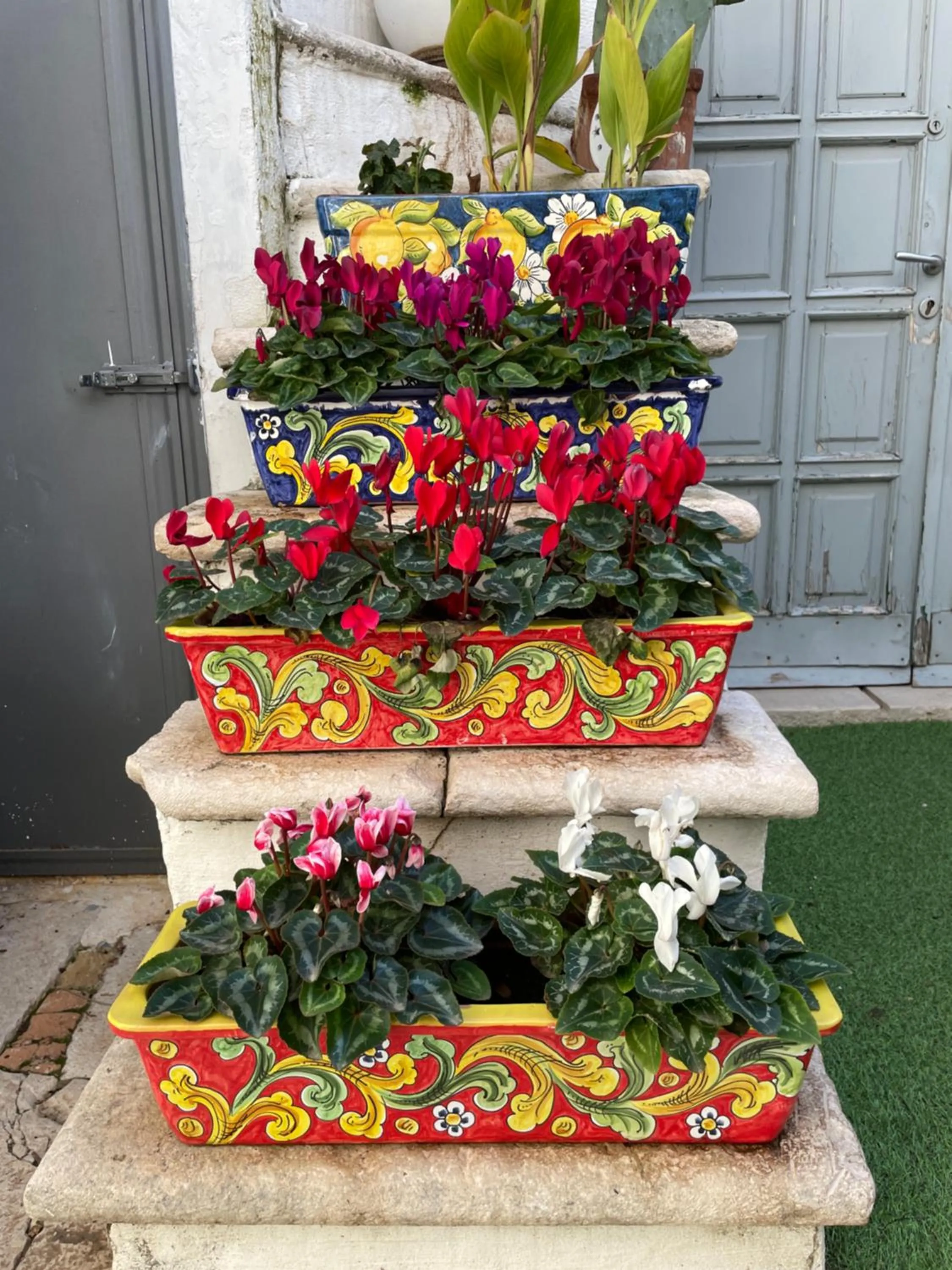 Garden in Palazzo Siena De Facendis