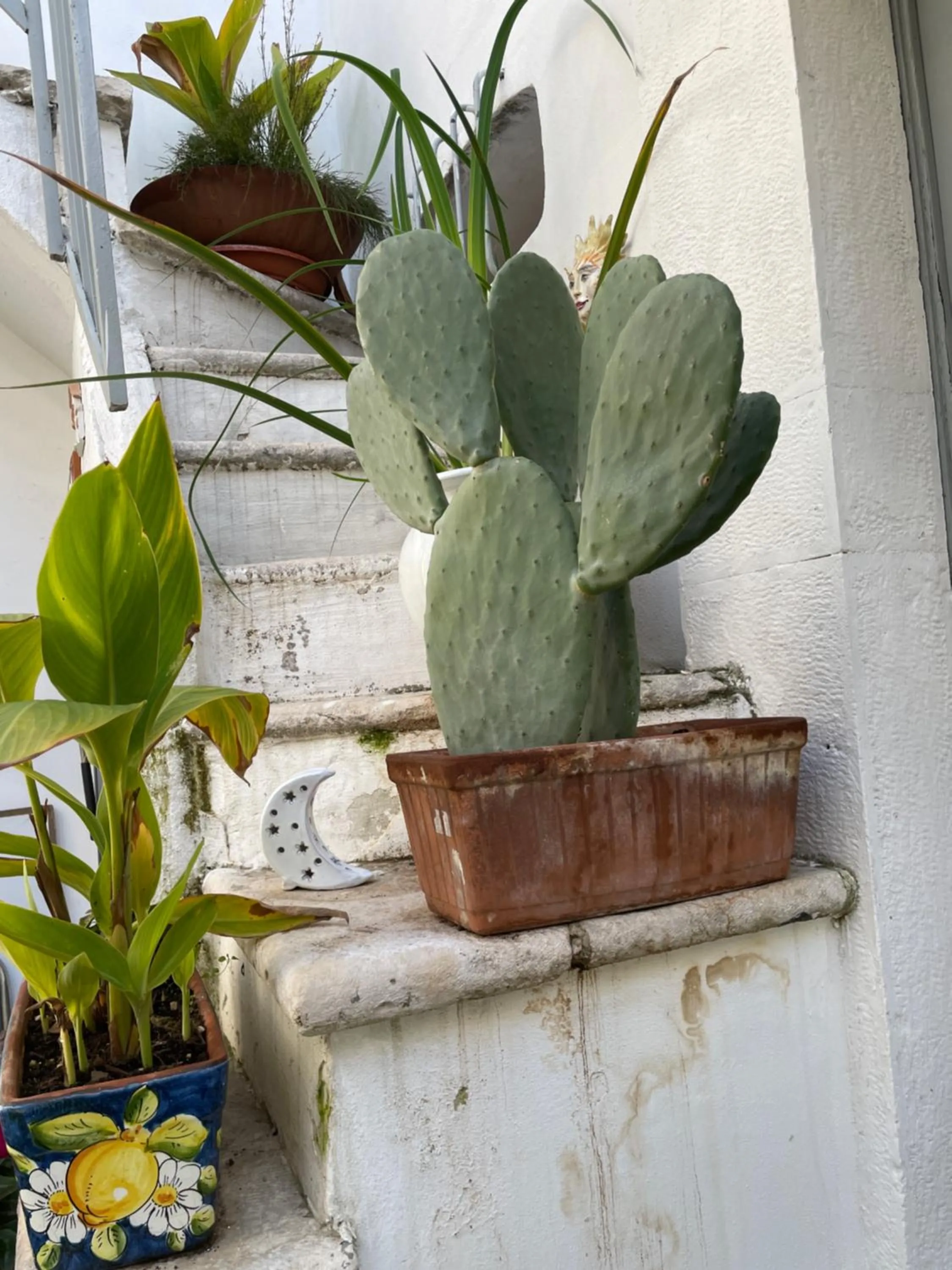 Day in Palazzo Siena De Facendis