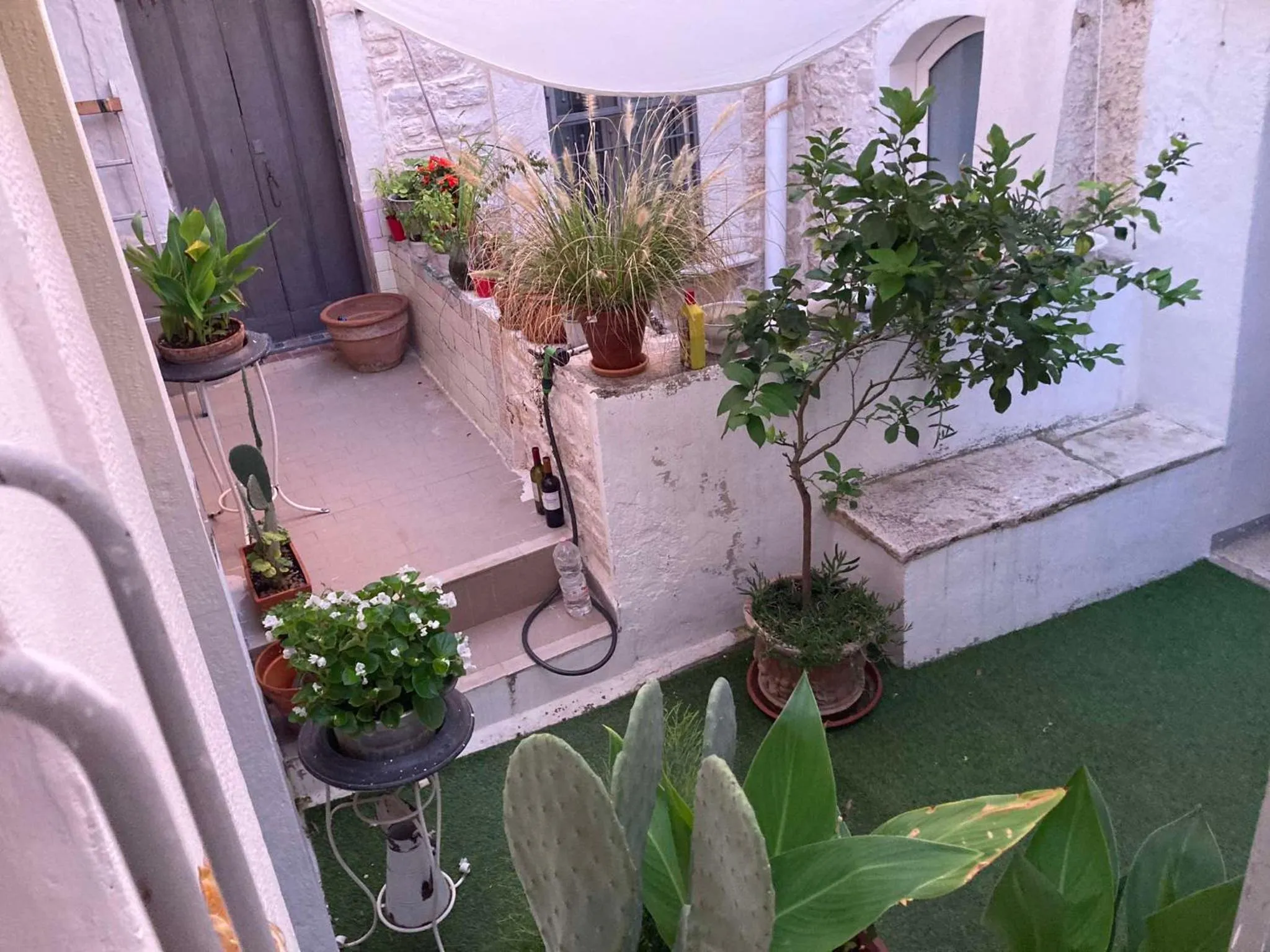 Palazzo Siena De Facendis