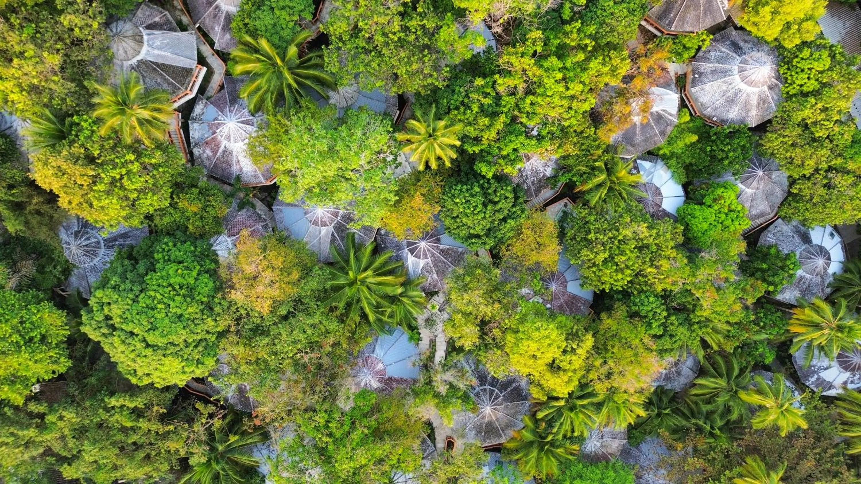 Bird's eye view in The Hideaway Pariya Haad Yuan Ko Pha-ngan