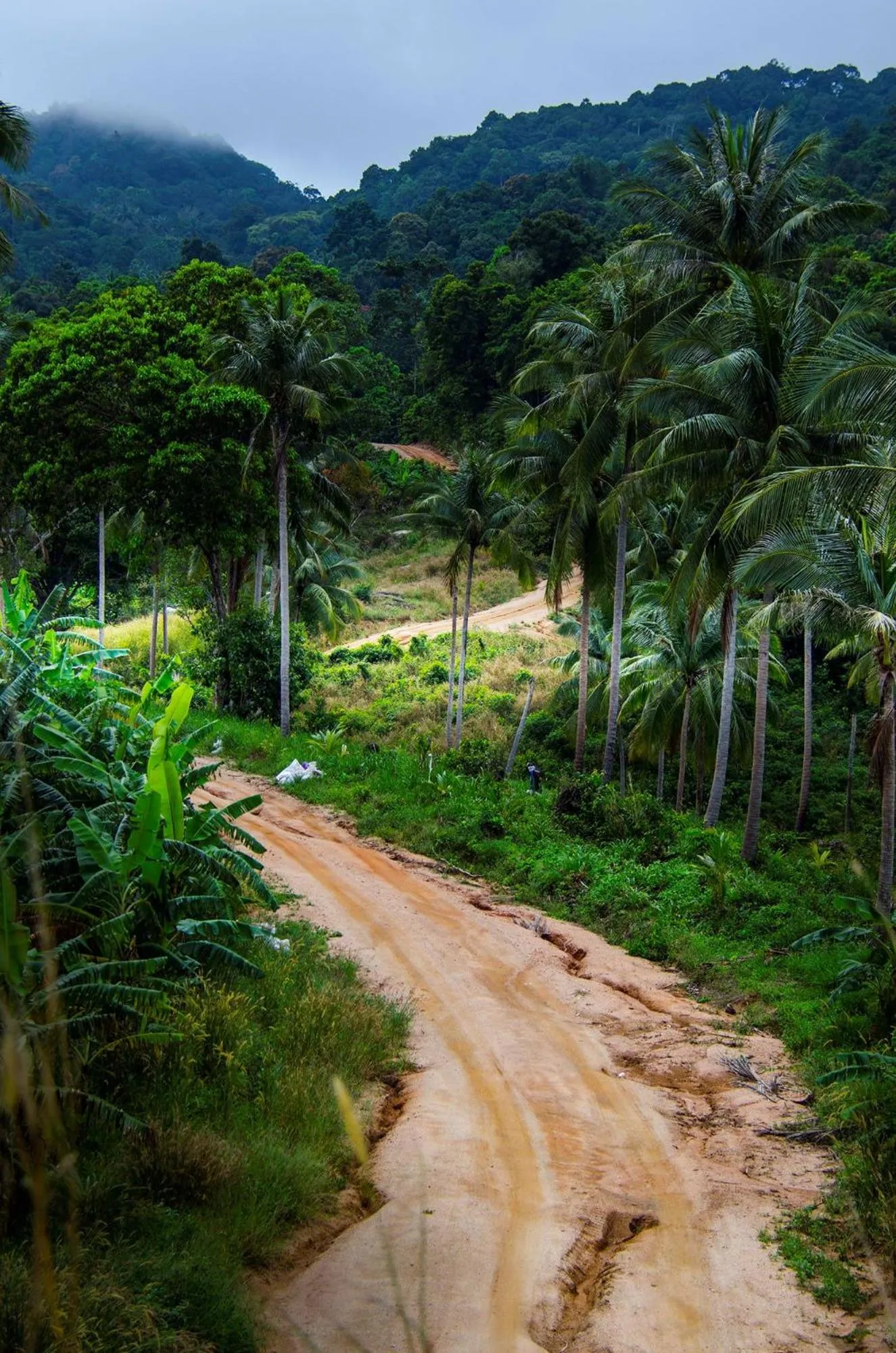 Natural landscape in The Hideaway Pariya Haad Yuan Ko Pha-ngan