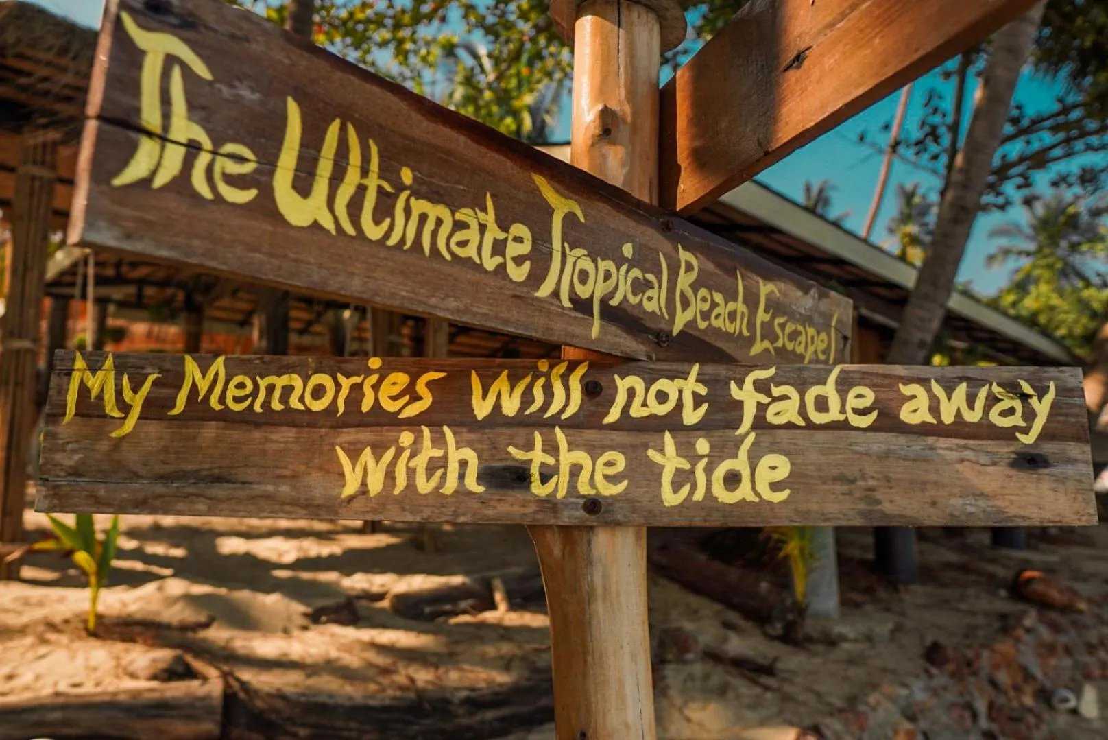 Logo/Certificate/Sign in The Hideaway Pariya Haad Yuan Ko Pha-ngan