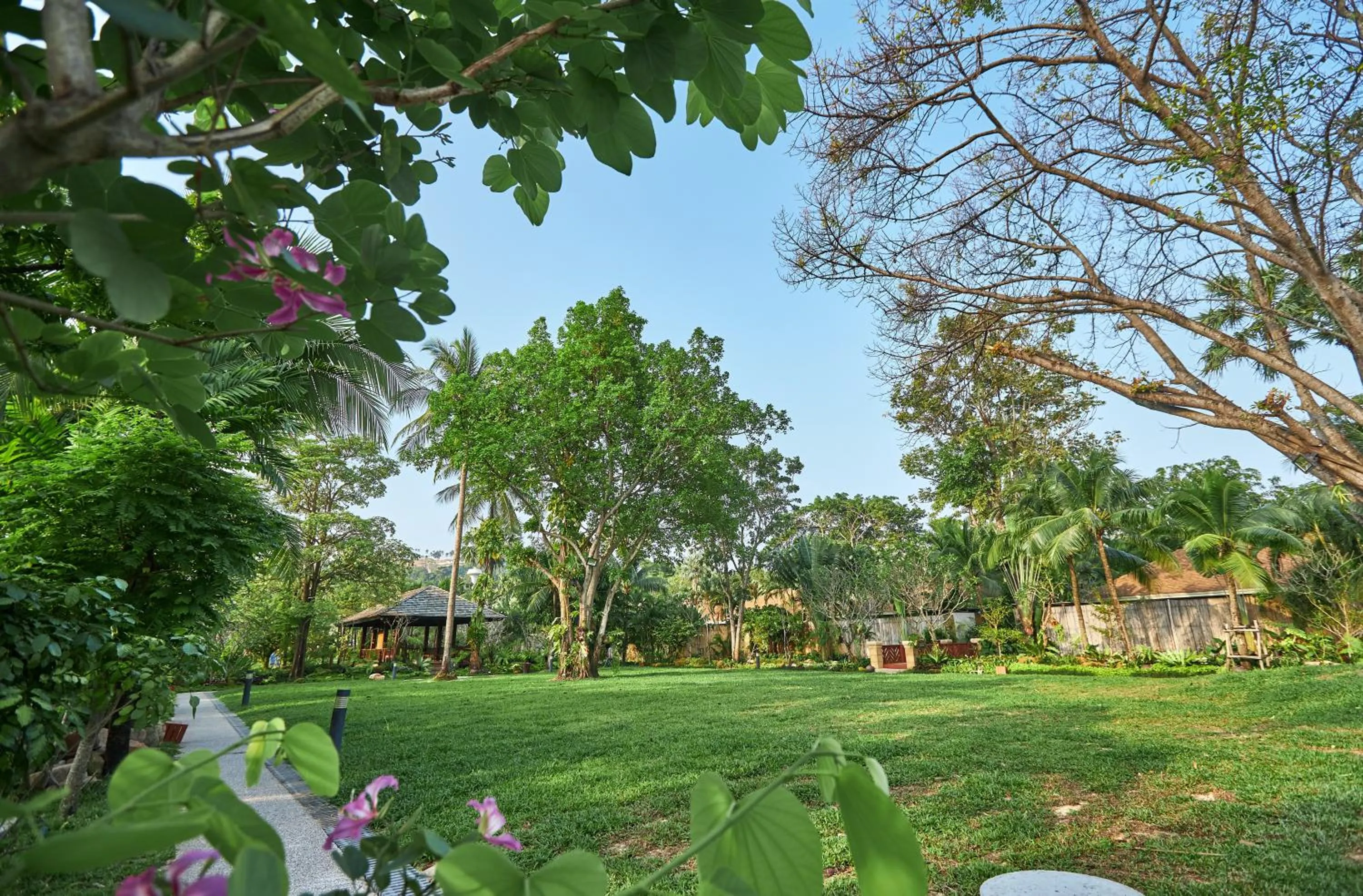 Garden in Bandara Spa Resort & Pool Villas, Samui