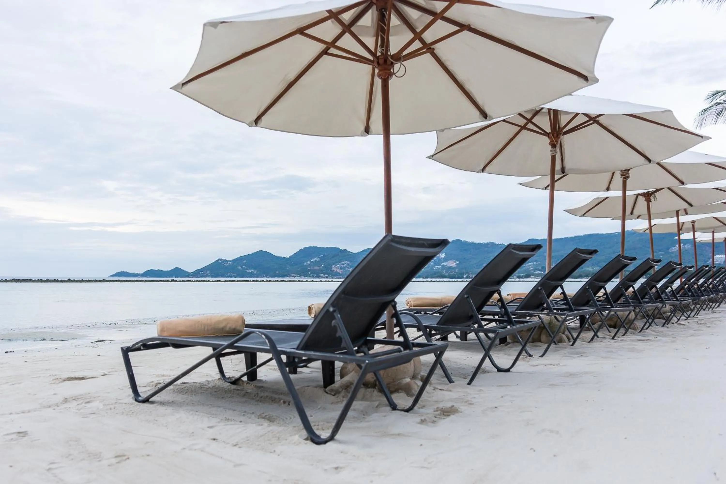 Beach in Dara Samui Beach Resort Adults Only, Chaweng