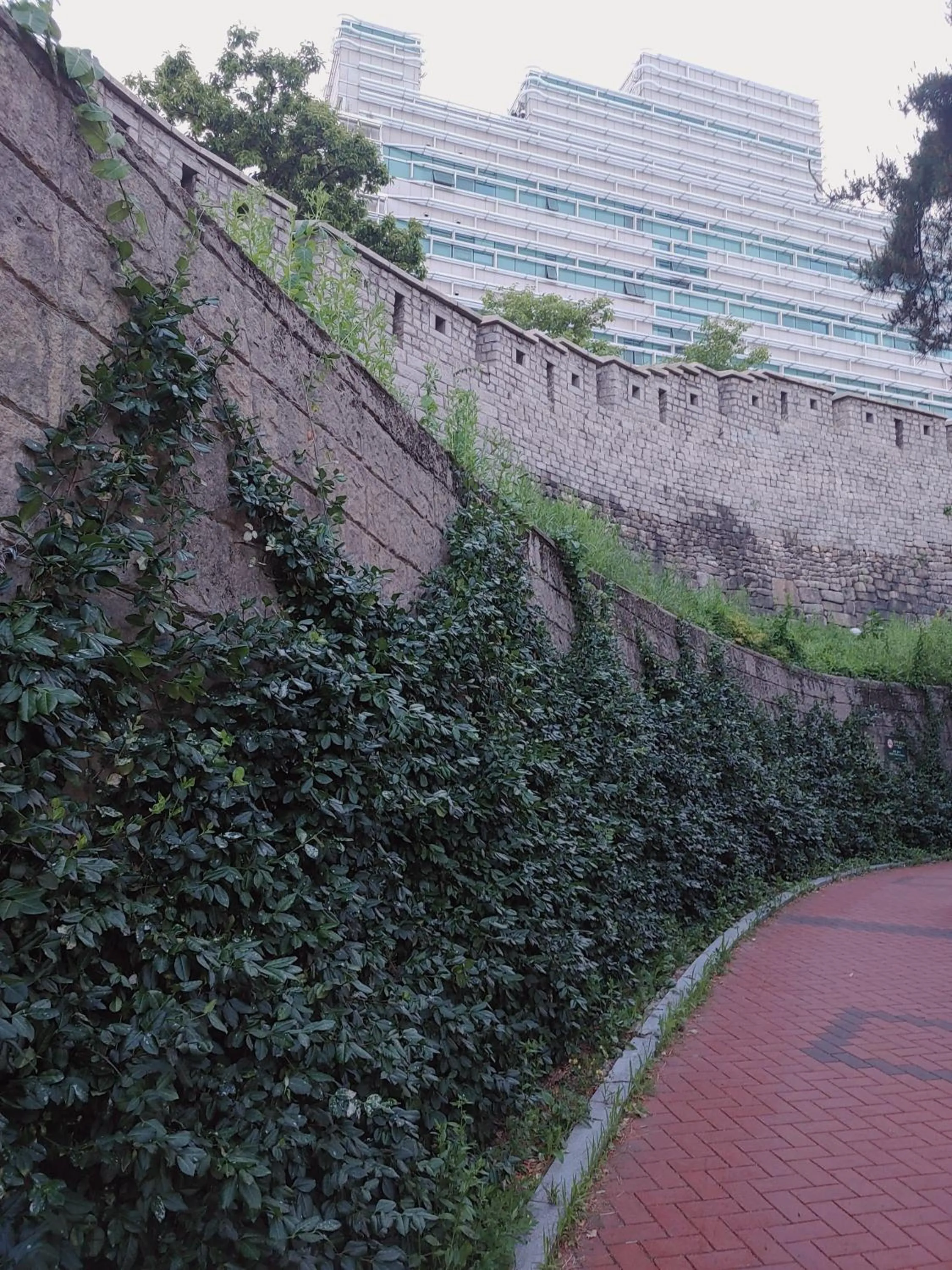 Hiking in Cobe Guesthouse Dongdaemun