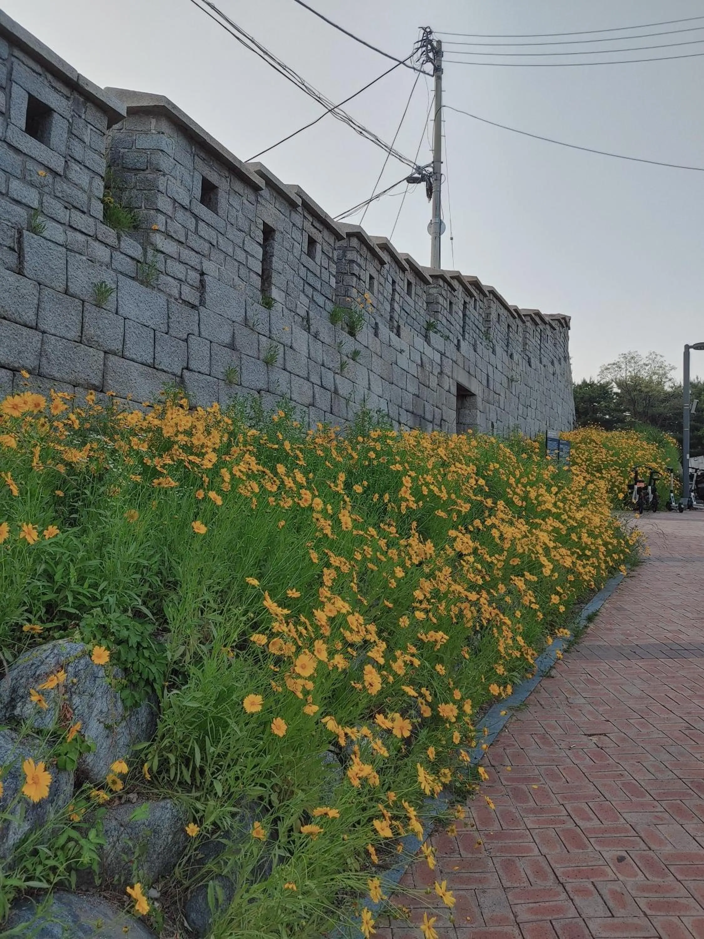 Hiking in Cobe Guesthouse Dongdaemun