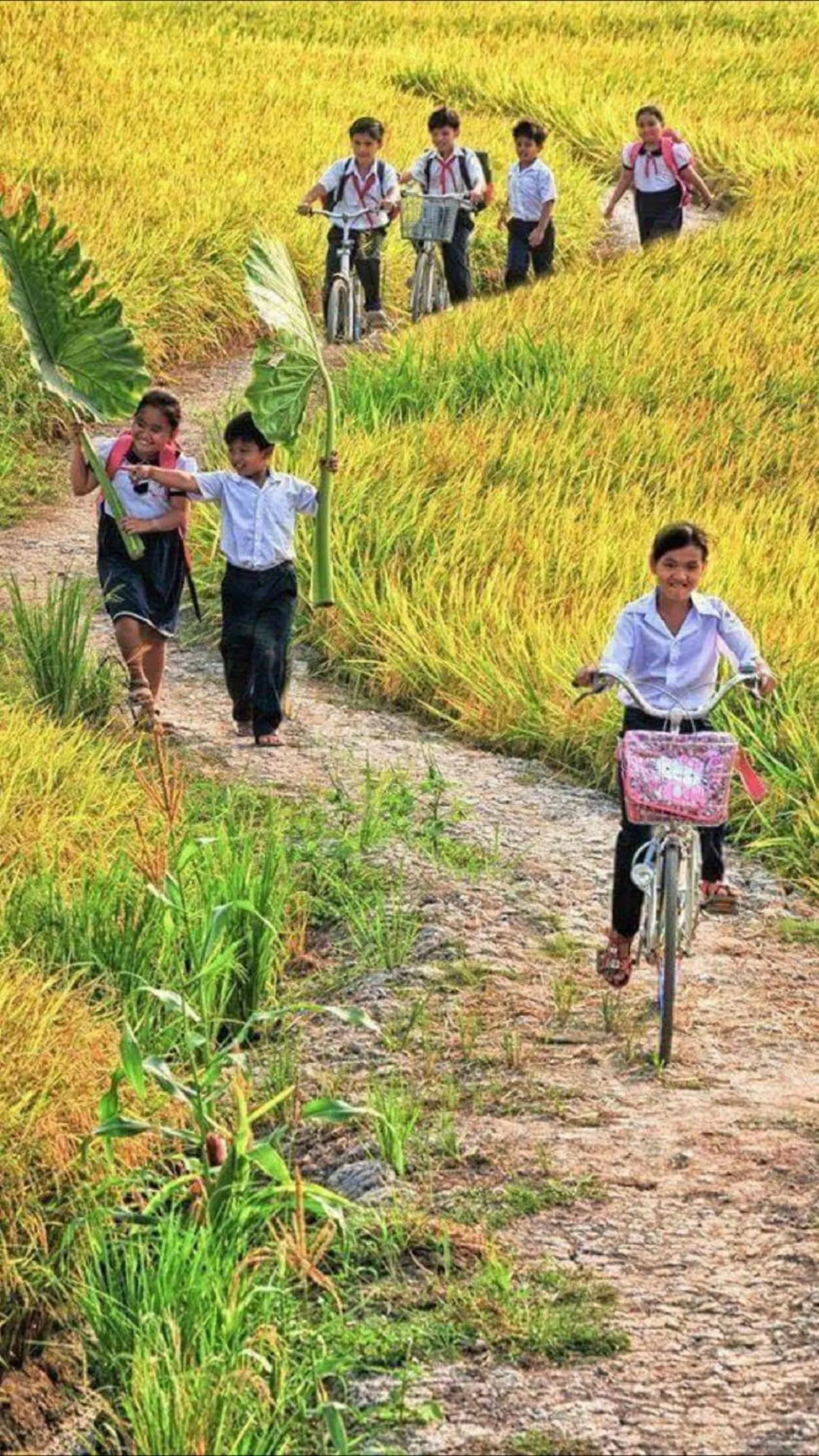 Landmark view in Flame Flowers Homestay