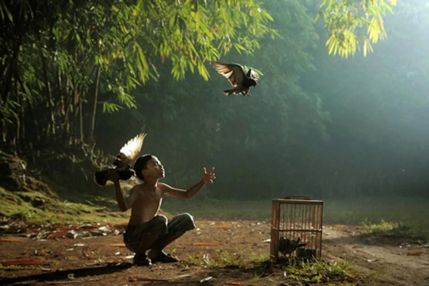 Landmark view in Flame Flowers Homestay