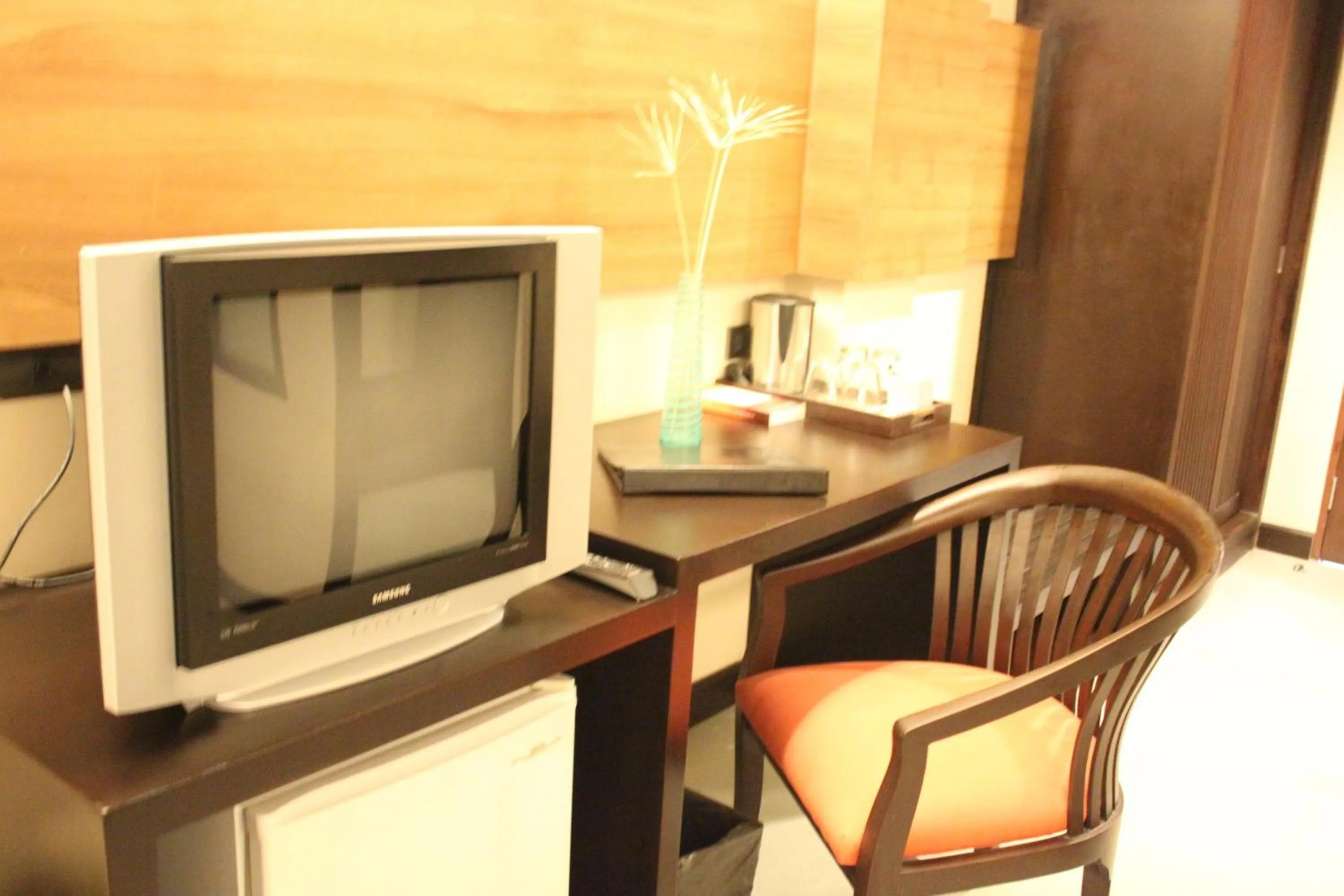 TV and multimedia in Weekender Resort