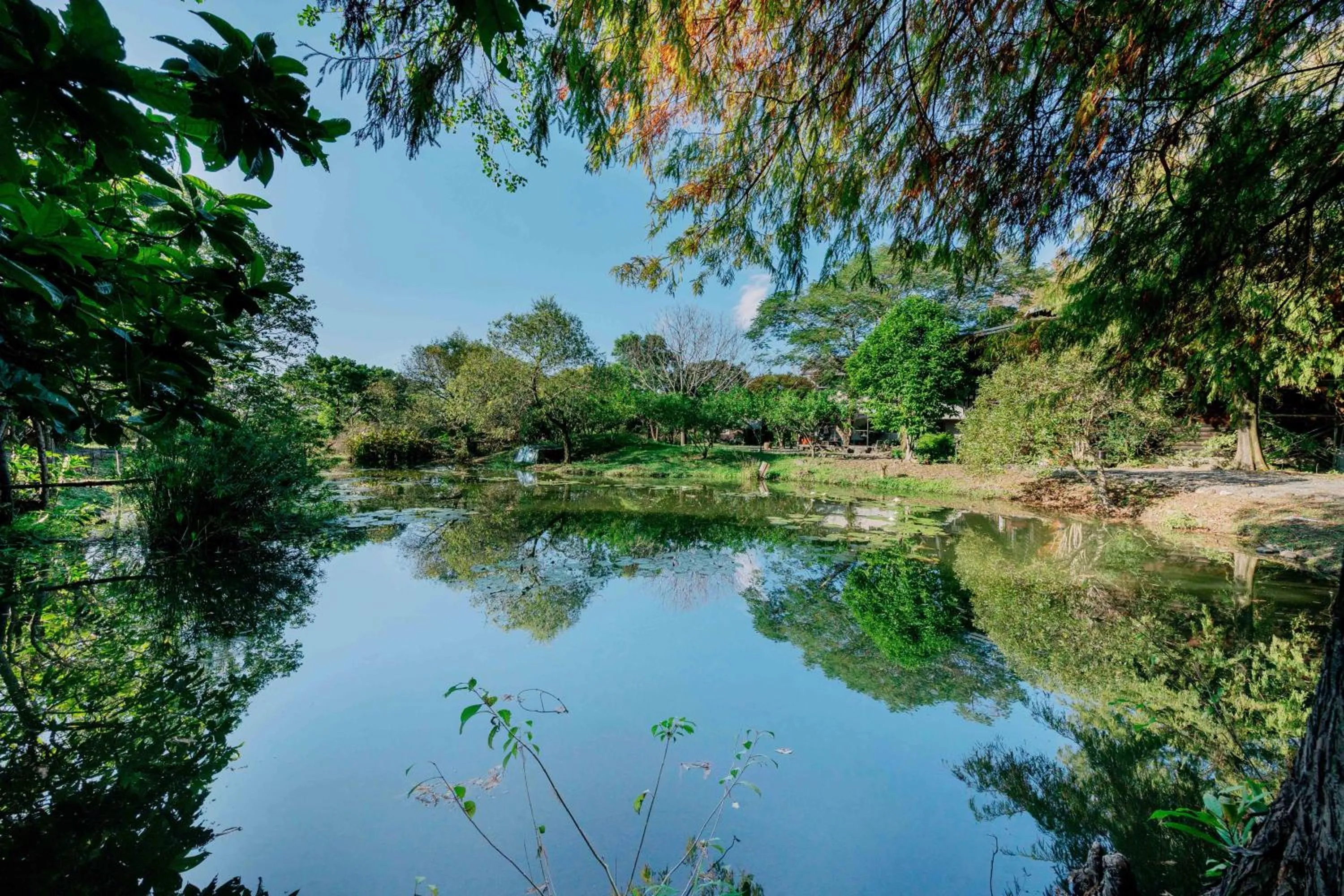 Lake view in Green Forest Villa