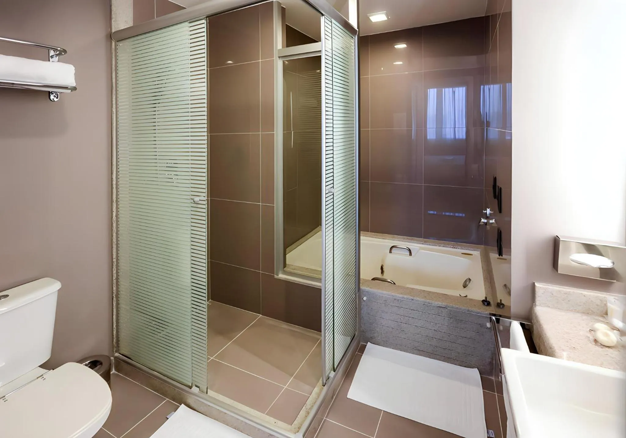 Bathroom in Novotel Sao Paulo Morumbi