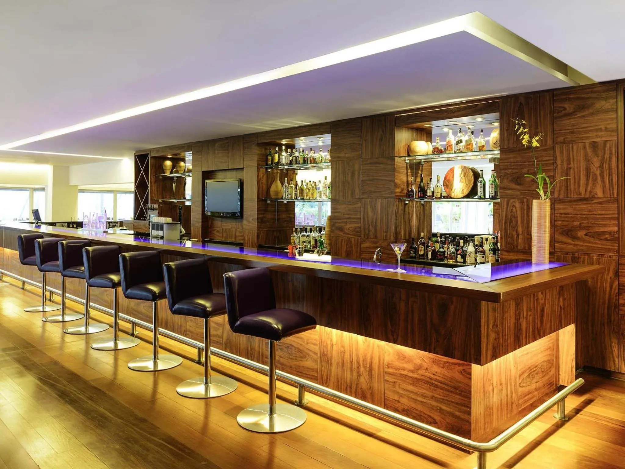 Lounge or bar in Novotel Sao Paulo Morumbi