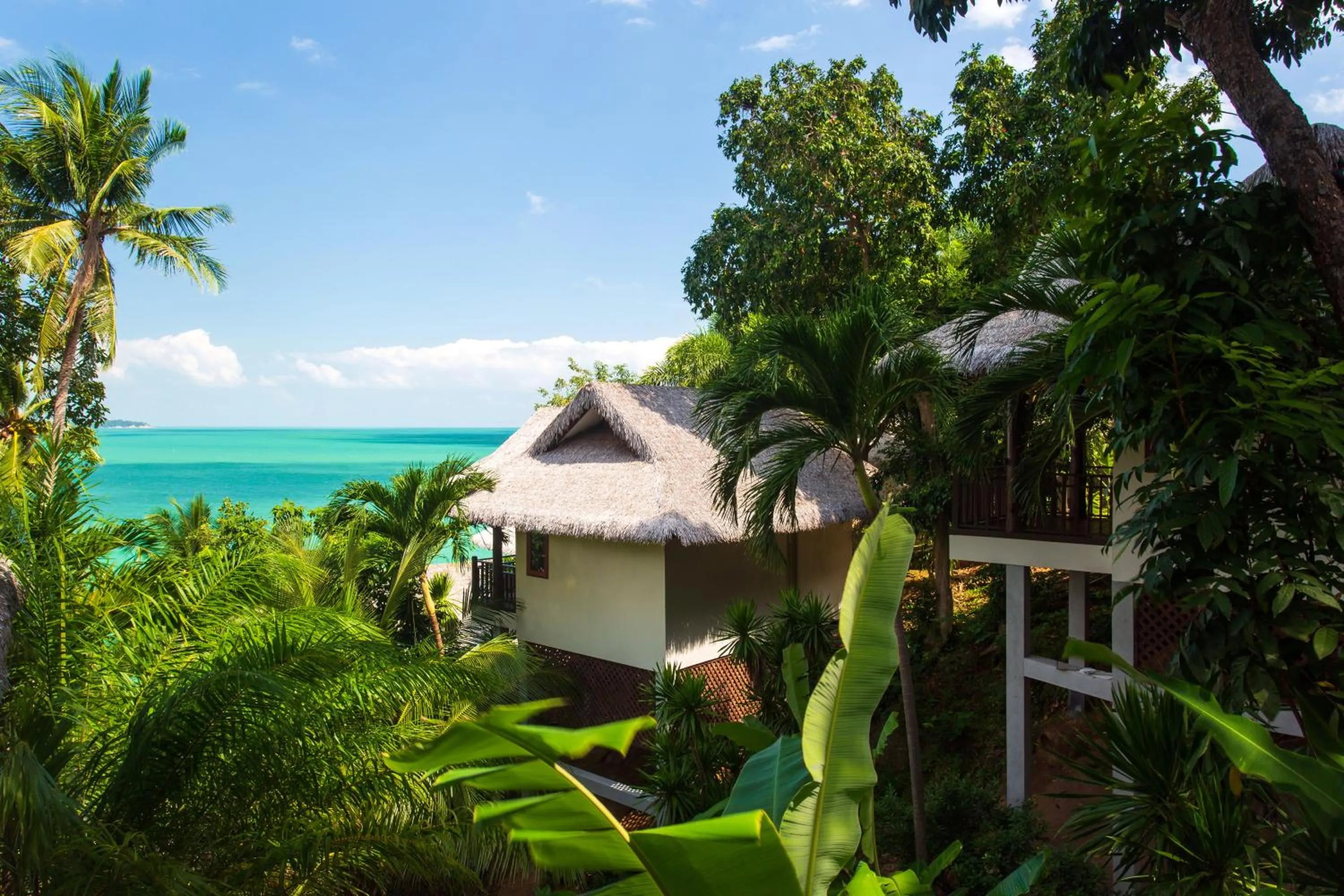 Garden view in Coral Cliff Beach Resort Samui - SHA Plus