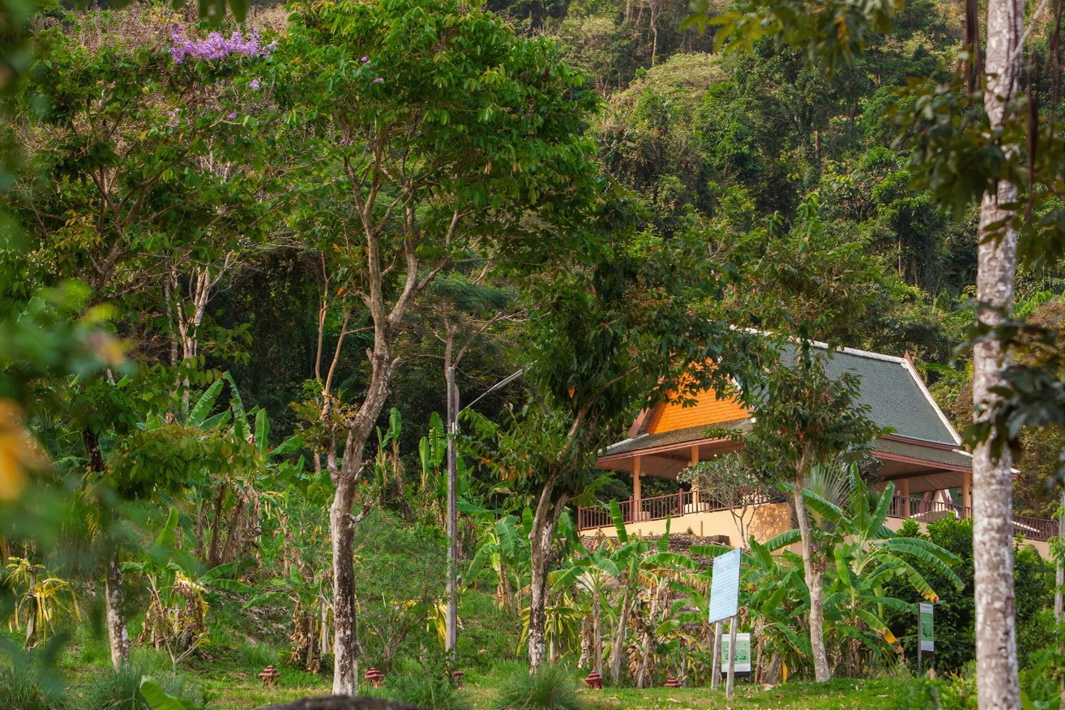 Property building in The Aiyapura Koh Chang