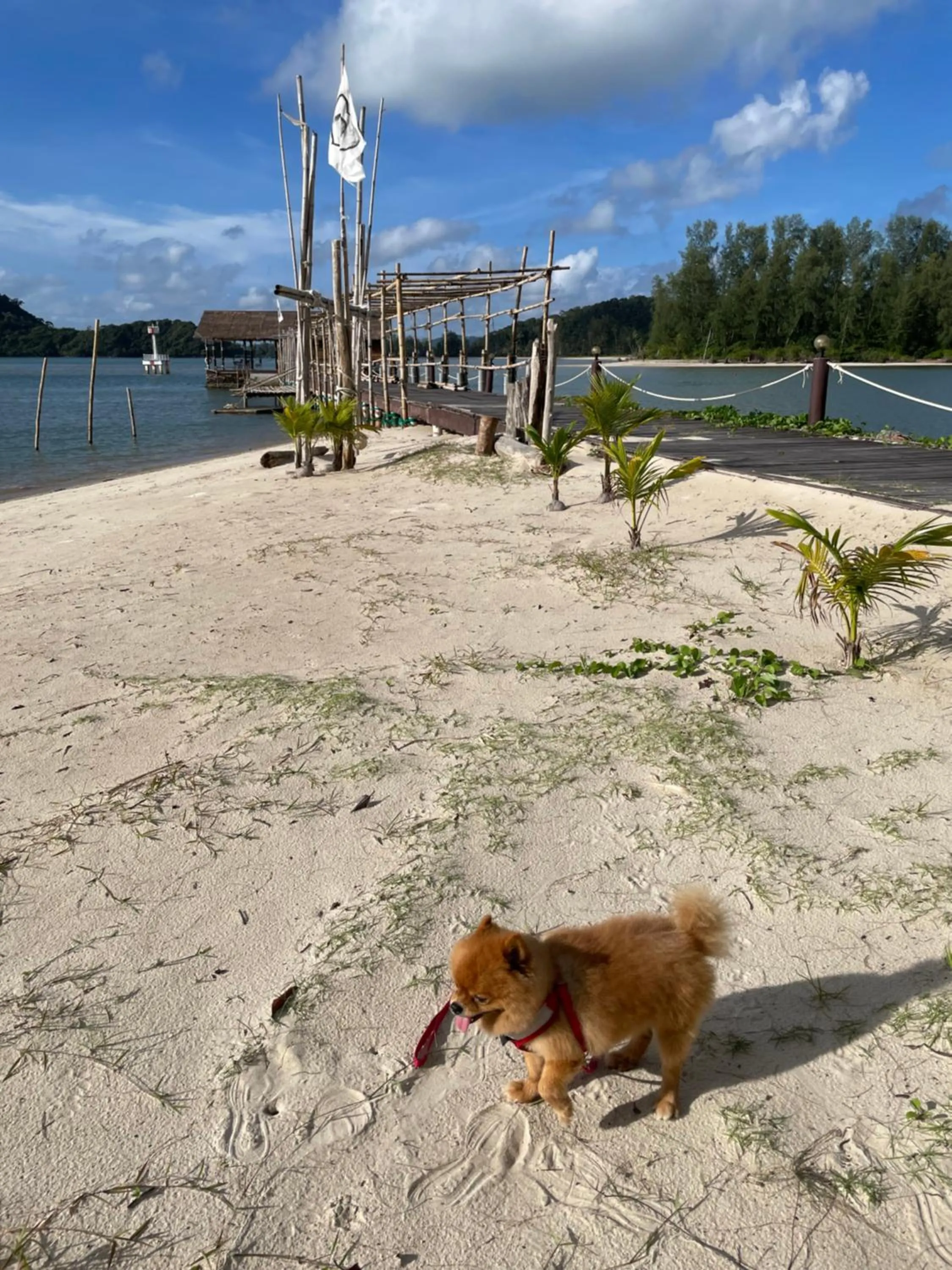 Beach in The Aiyapura Koh Chang