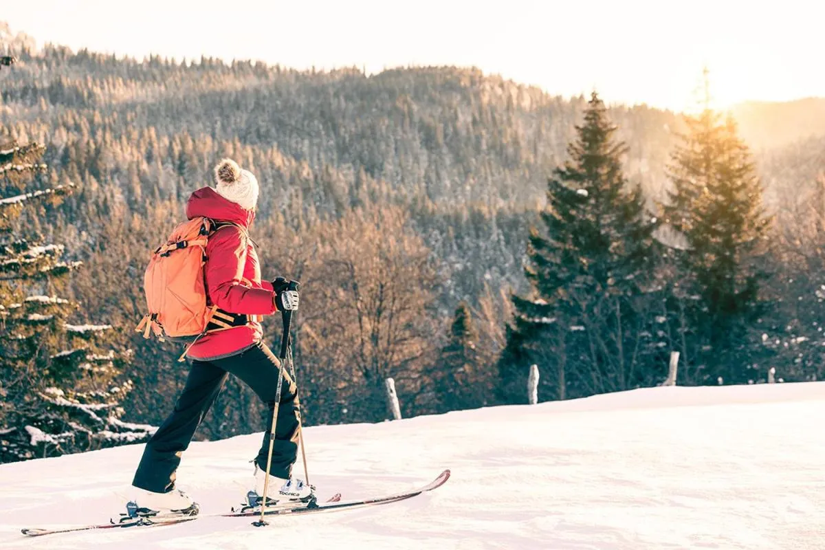 Skiing in La Mainaz Hôtel Restaurant Genève - Gex - Mijoux