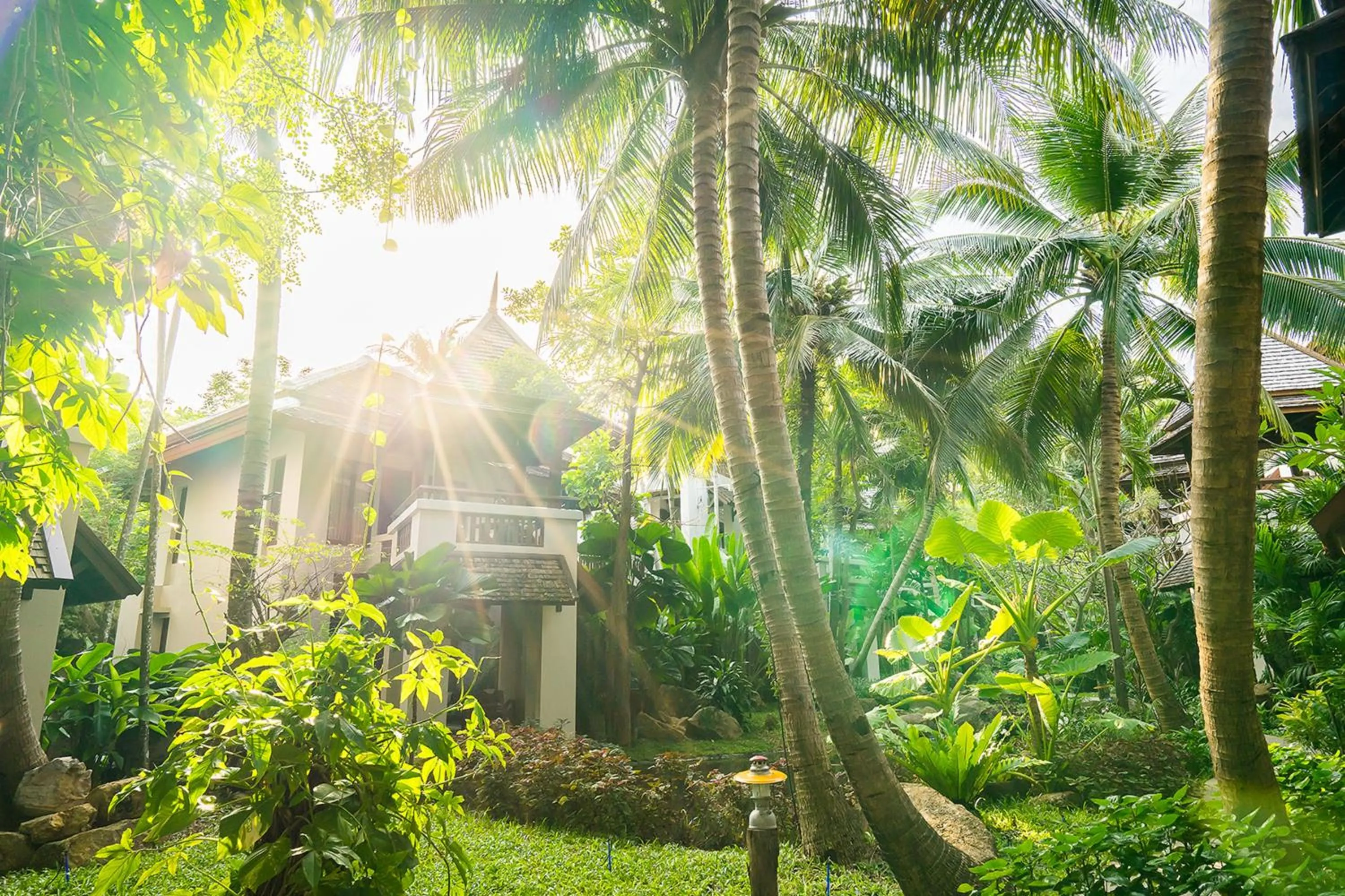 Garden in Muang Samui Spa Resort