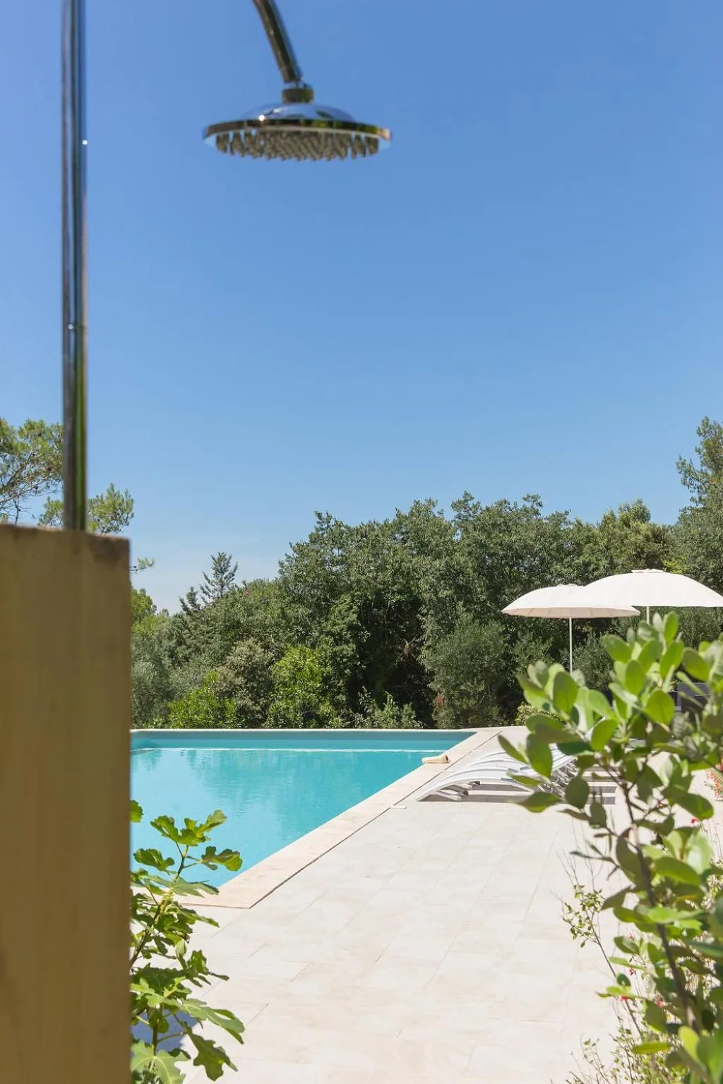 Day in Le Mas des Alexandrins