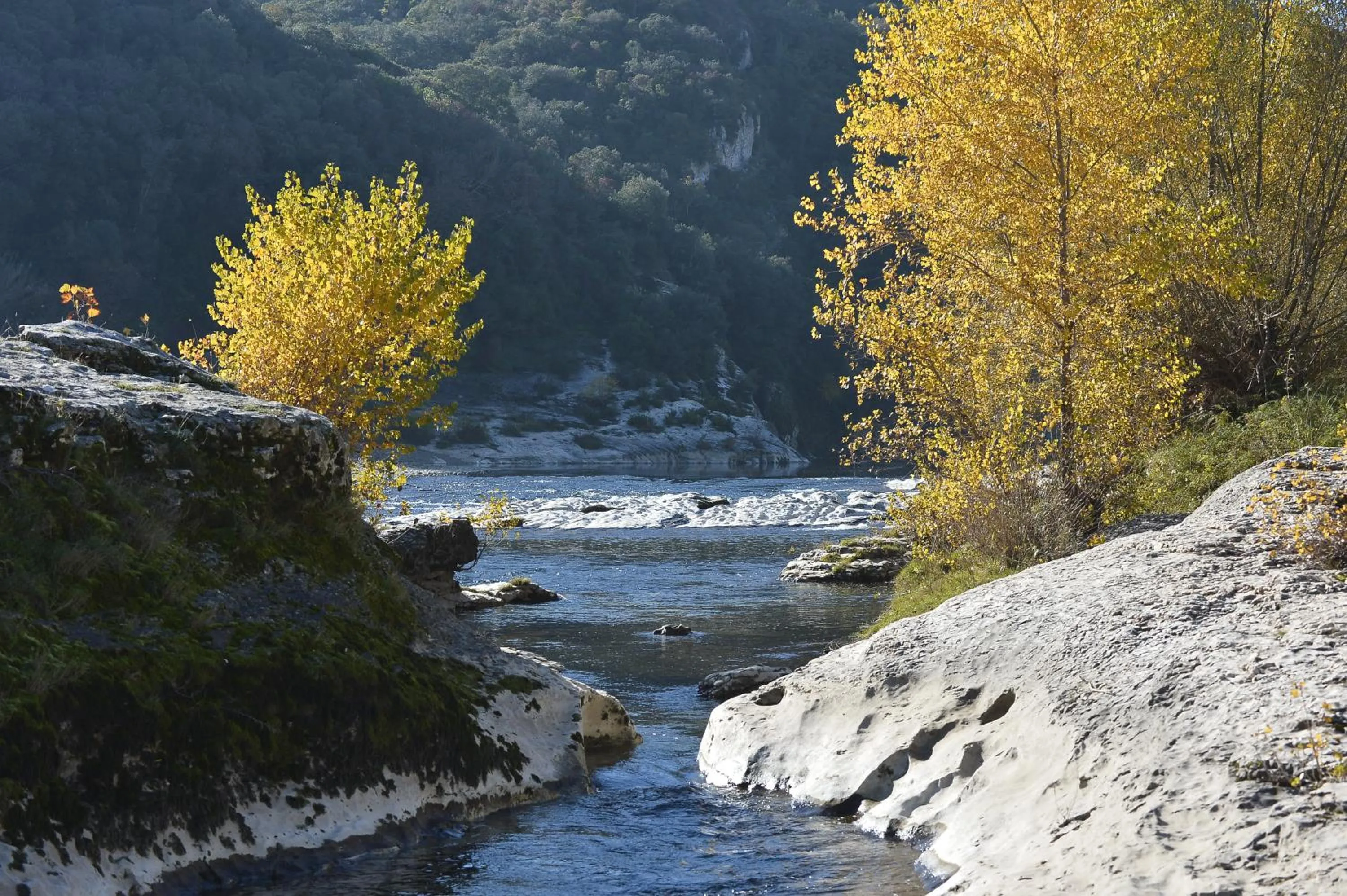 River view in Le Mas des Alexandrins