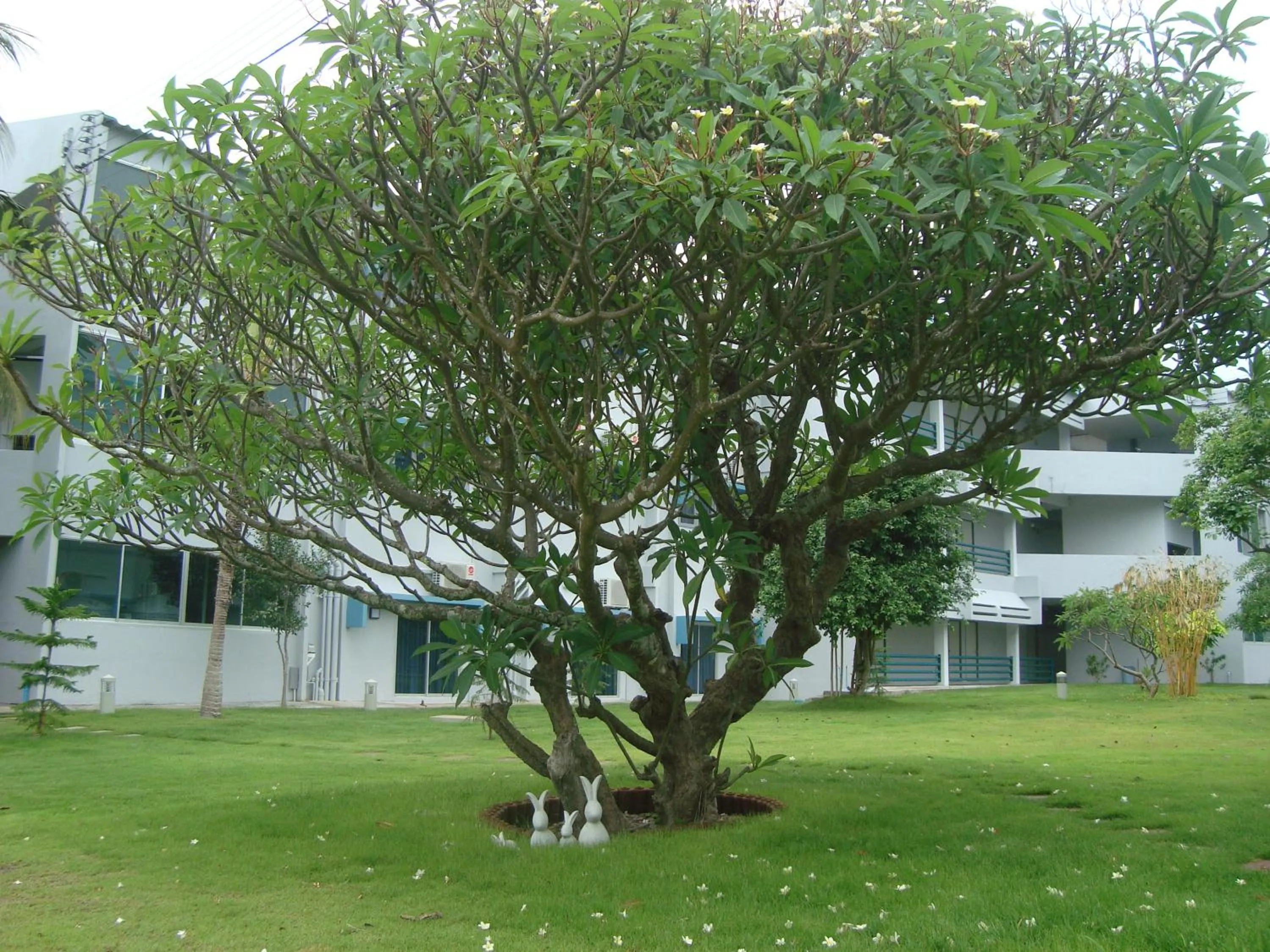 Property building in Addera Residence Hua Hin