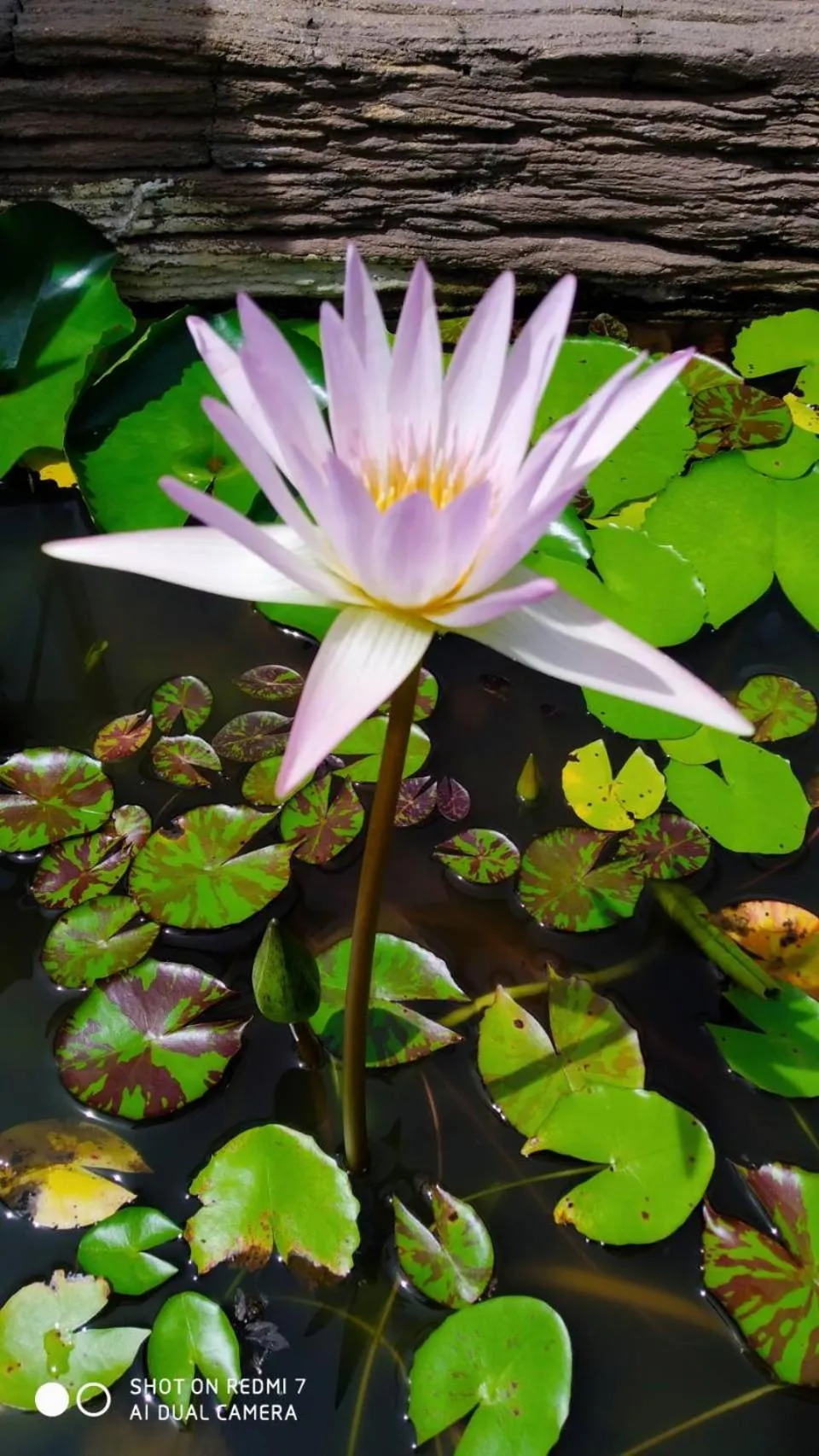 Property building in Kata Beach Studio Phuket