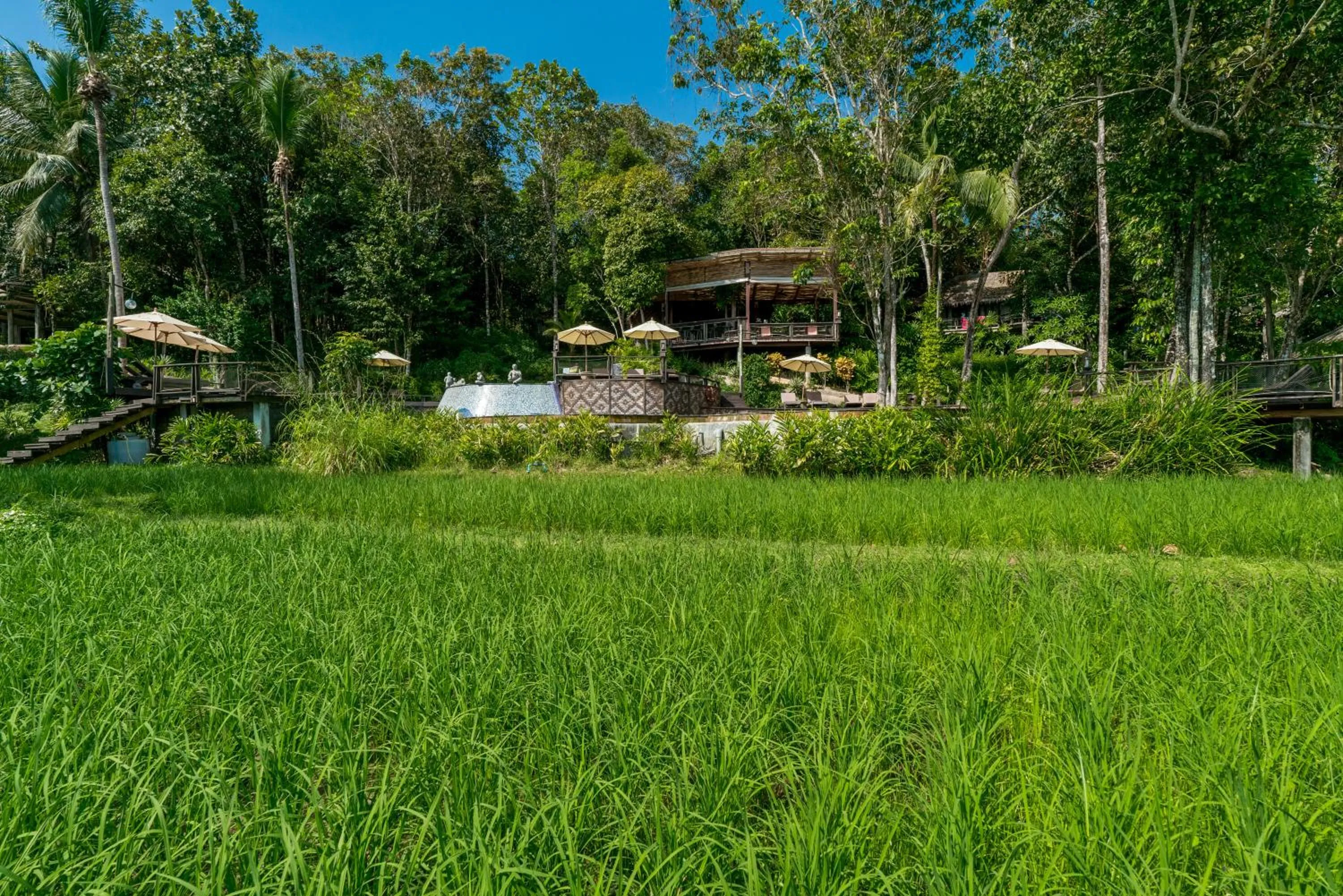 Natural landscape in Koh Yao Yai Village