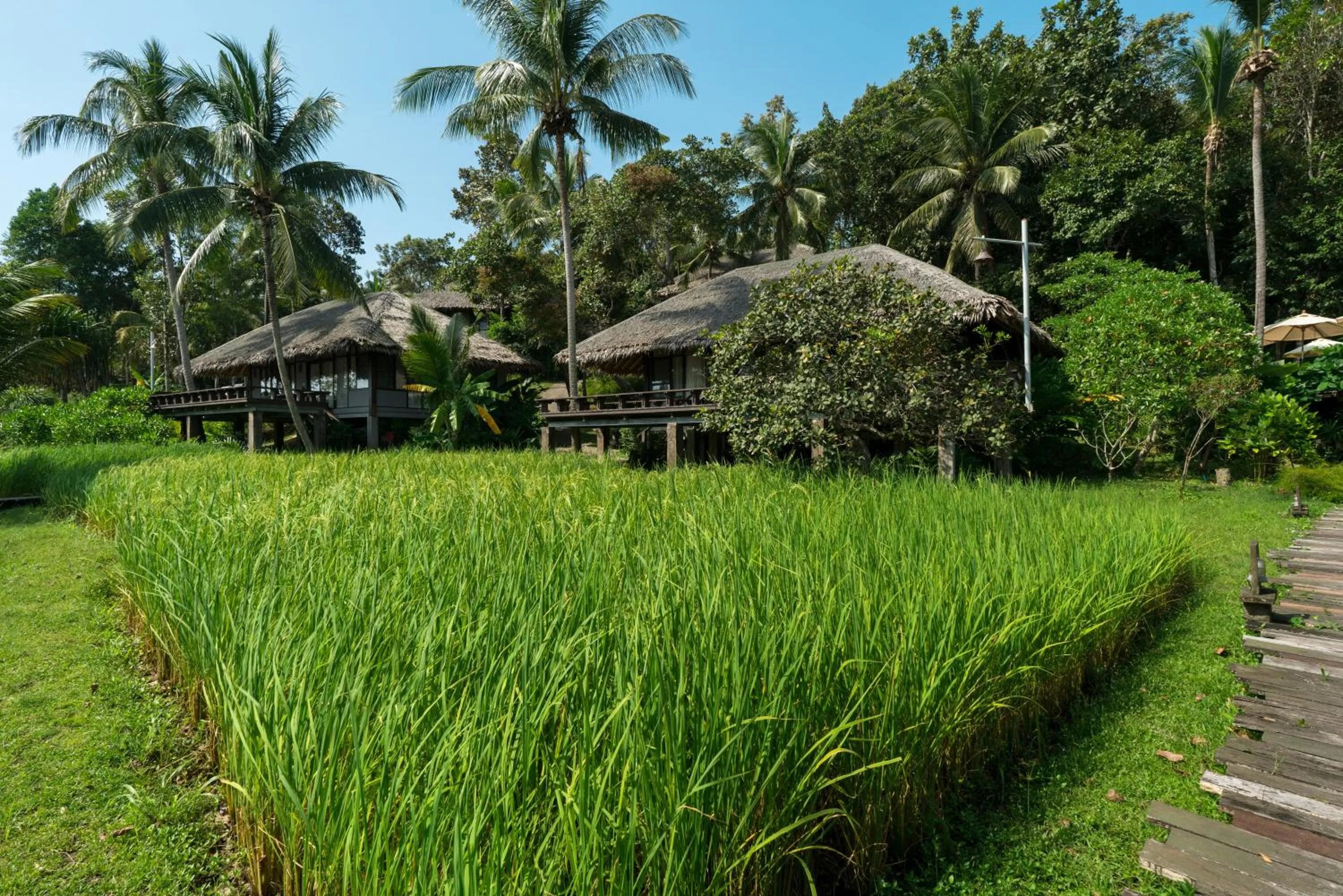 Natural landscape in Koh Yao Yai Village