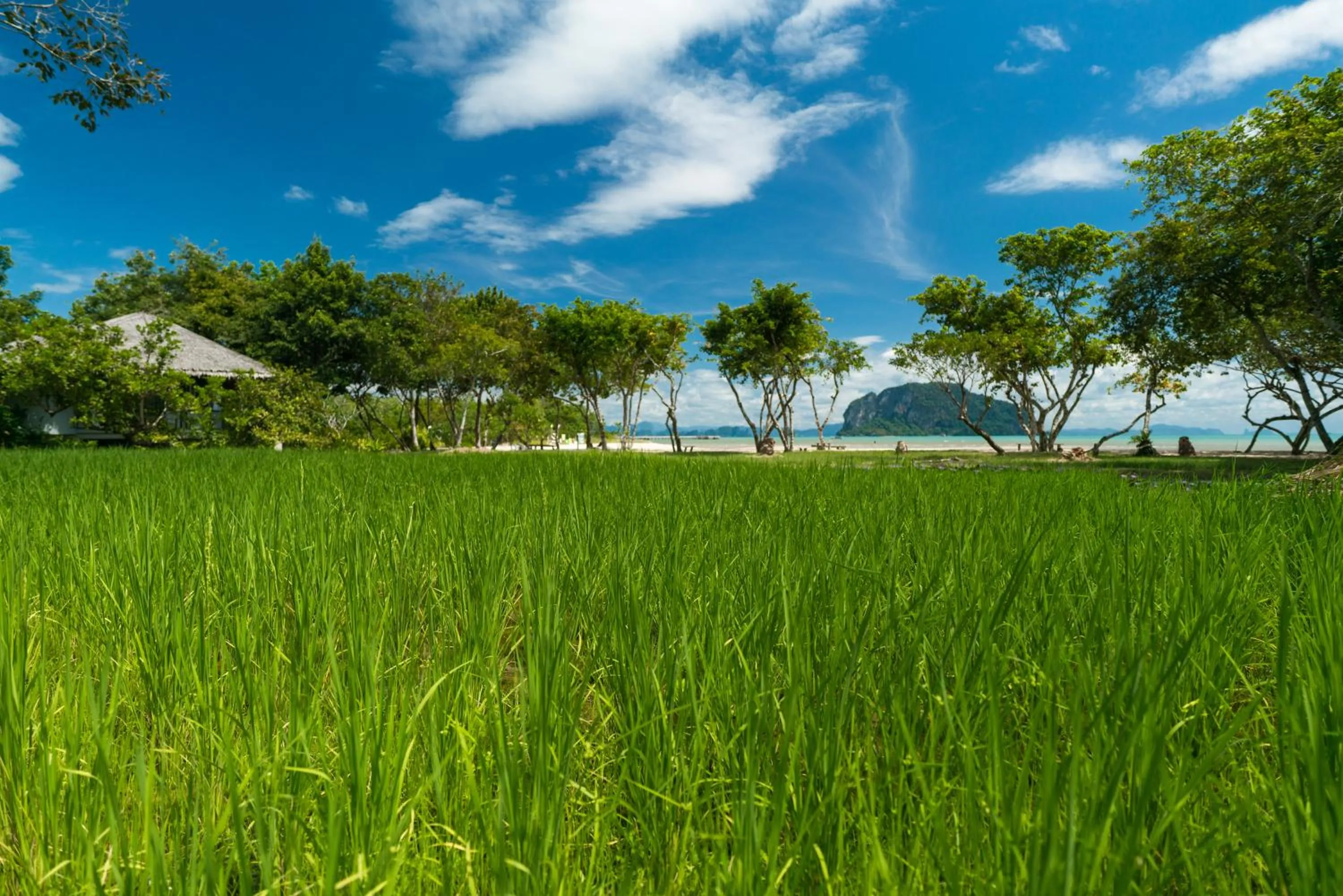 Natural landscape in Koh Yao Yai Village