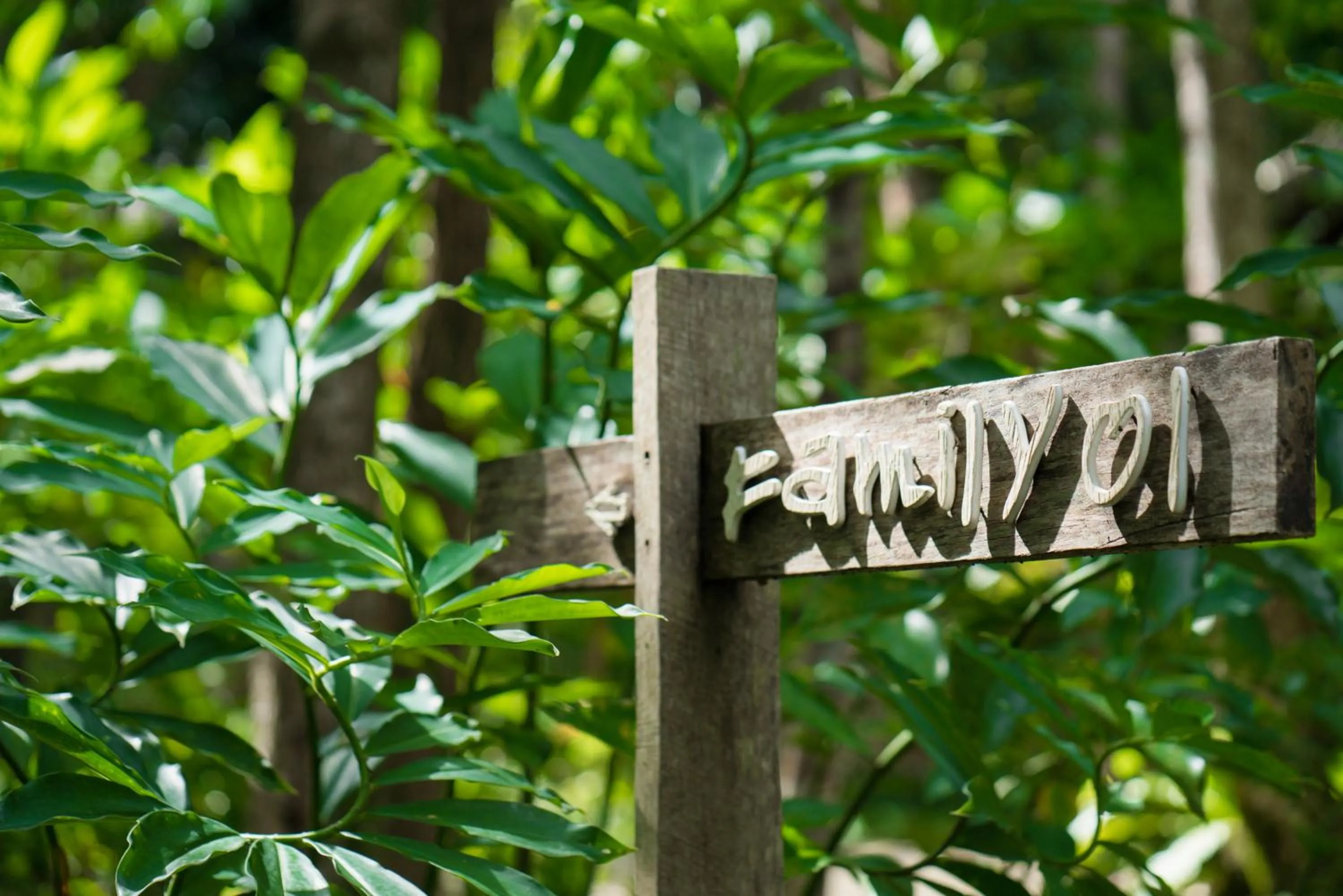 Logo/Certificate/Sign in Koh Yao Yai Village