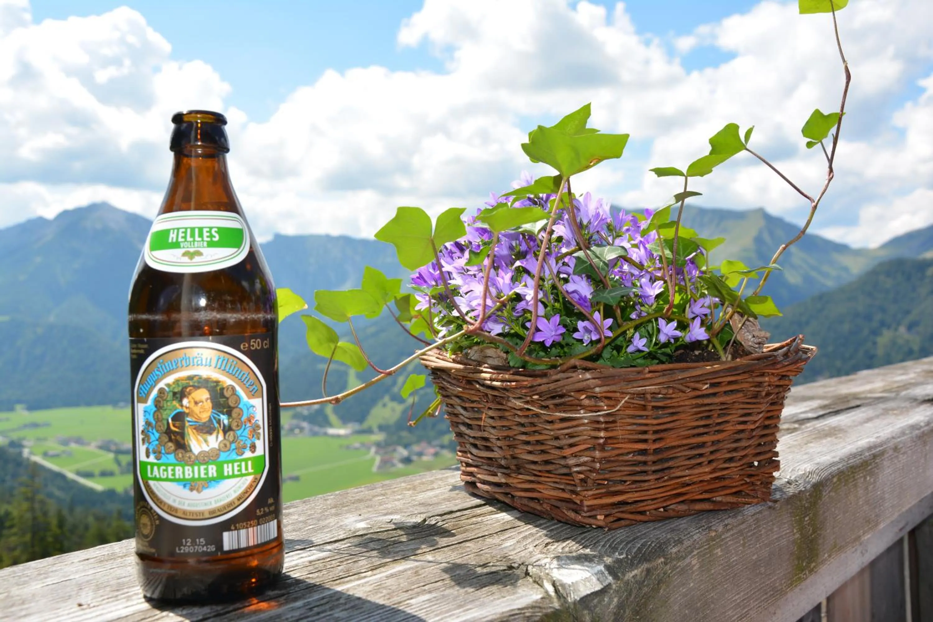 Property building in Schwaigeralm