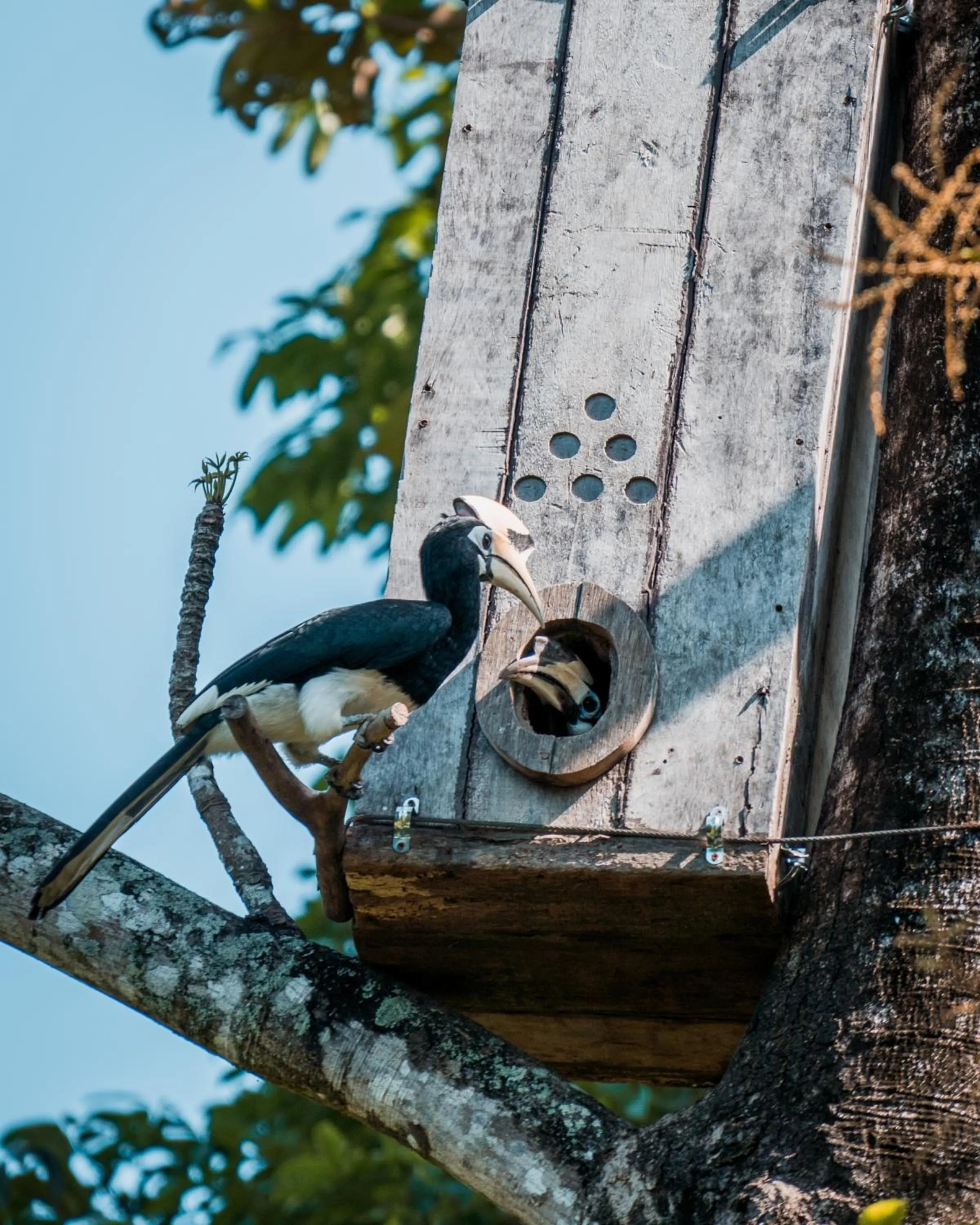 Day in Six Senses Yao Noi