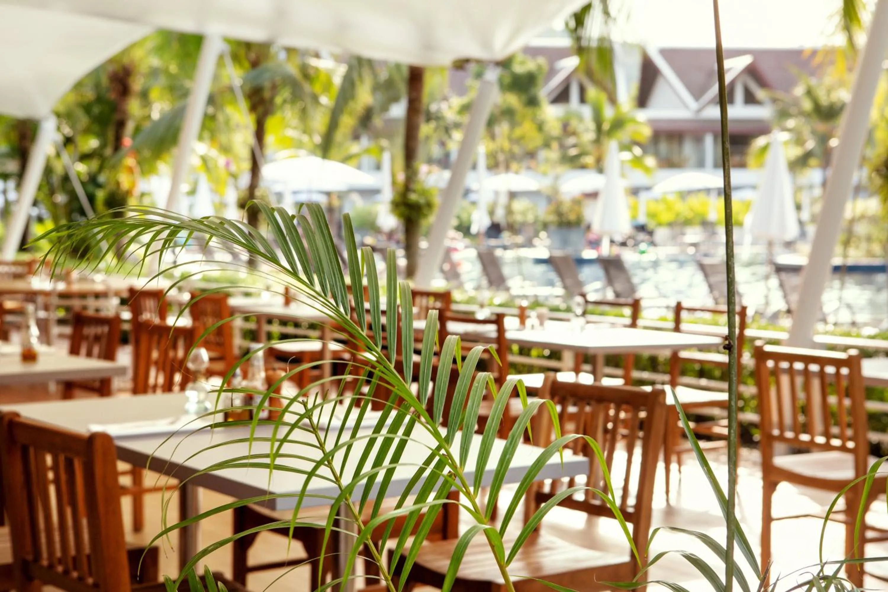 Restaurant/places to eat in Sunwing Kamala Beach