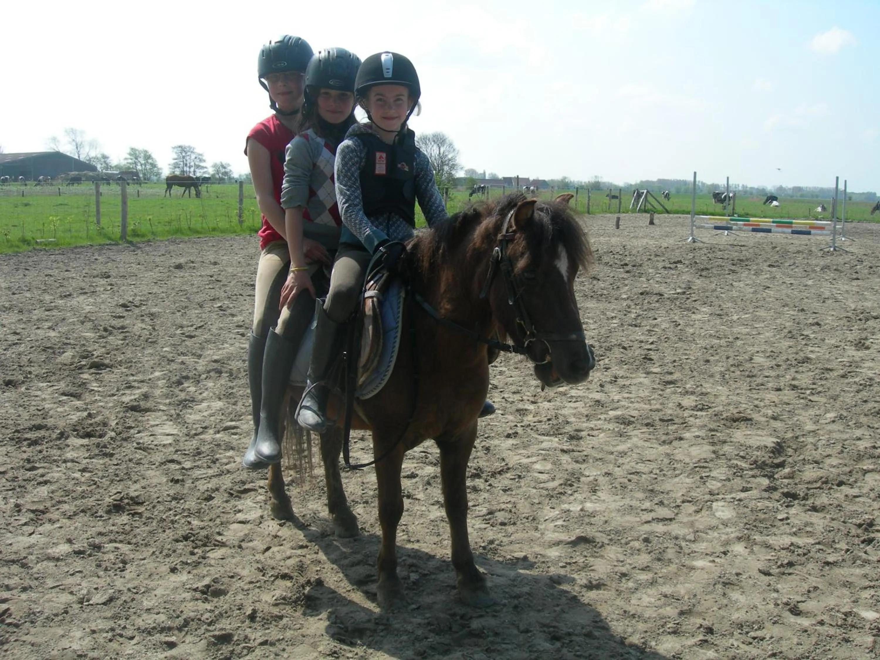Horse-riding in Bladelijn