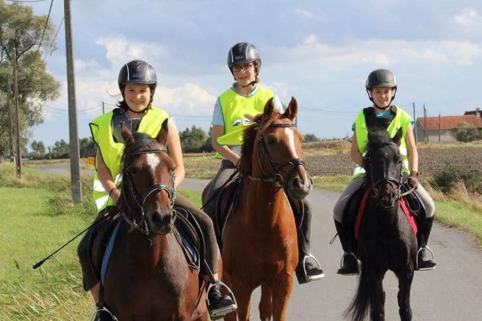 Horse-riding in Bladelijn