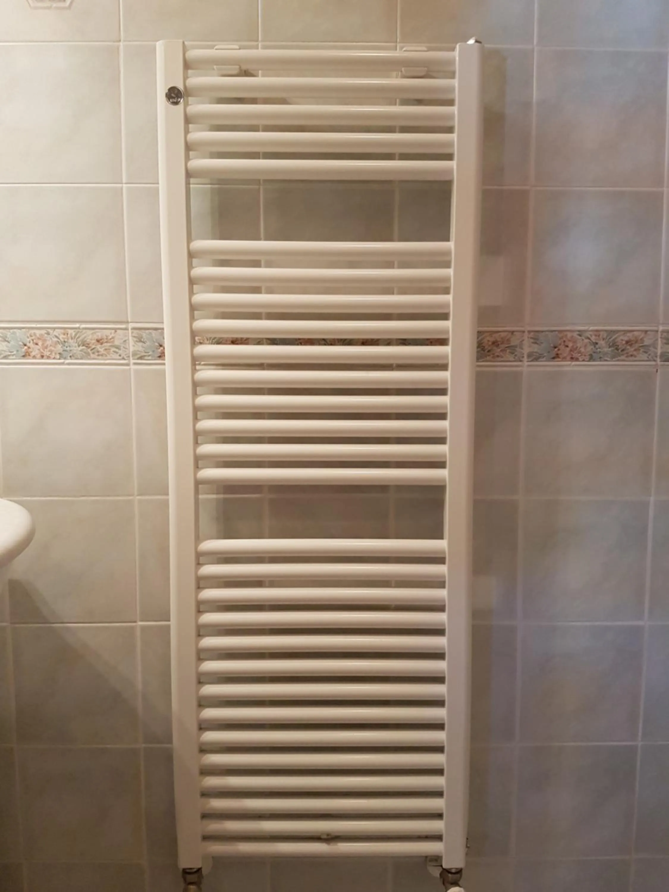 Toilet in Hotel Minerva