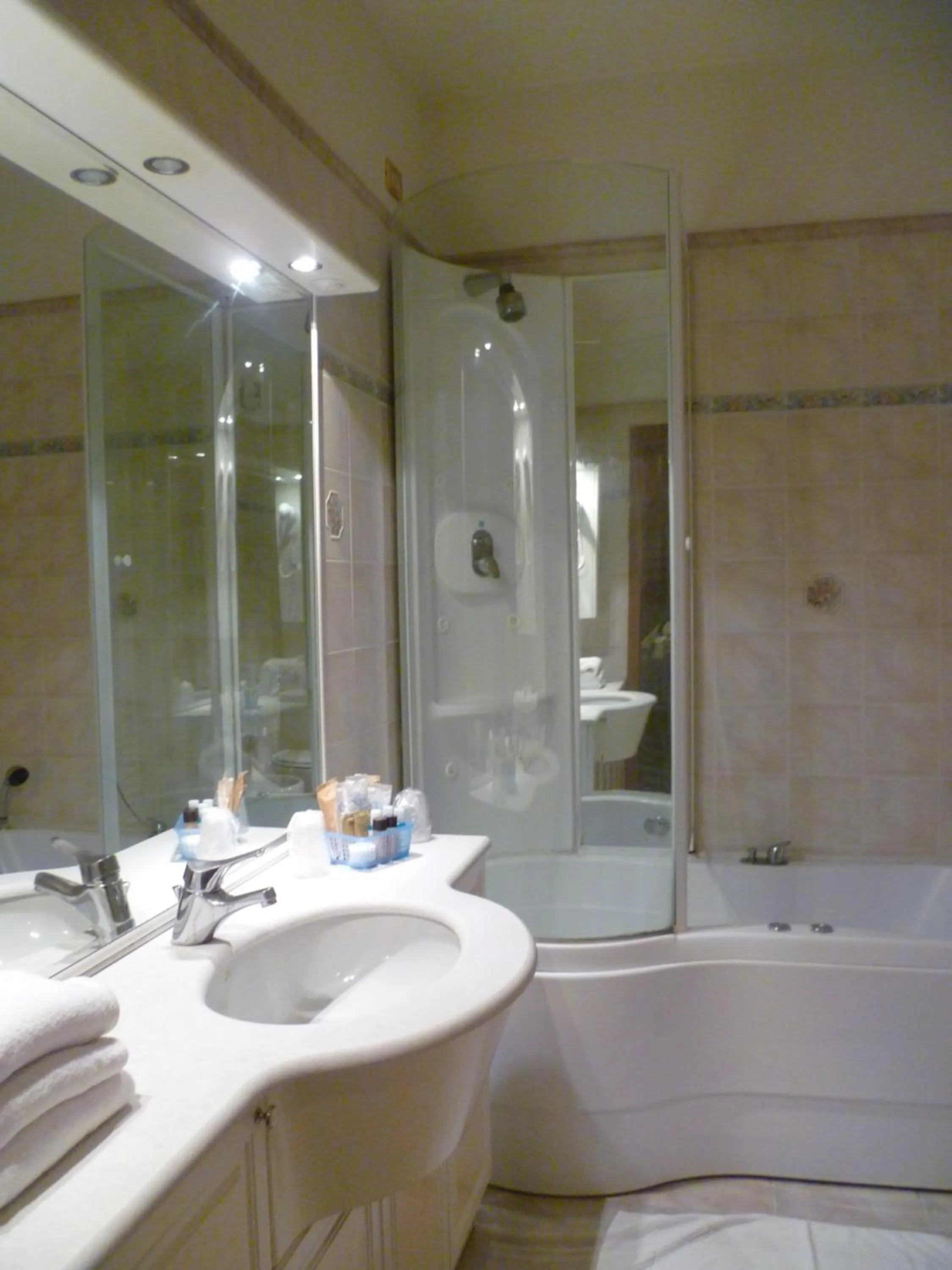 Toilet in Hotel Minerva