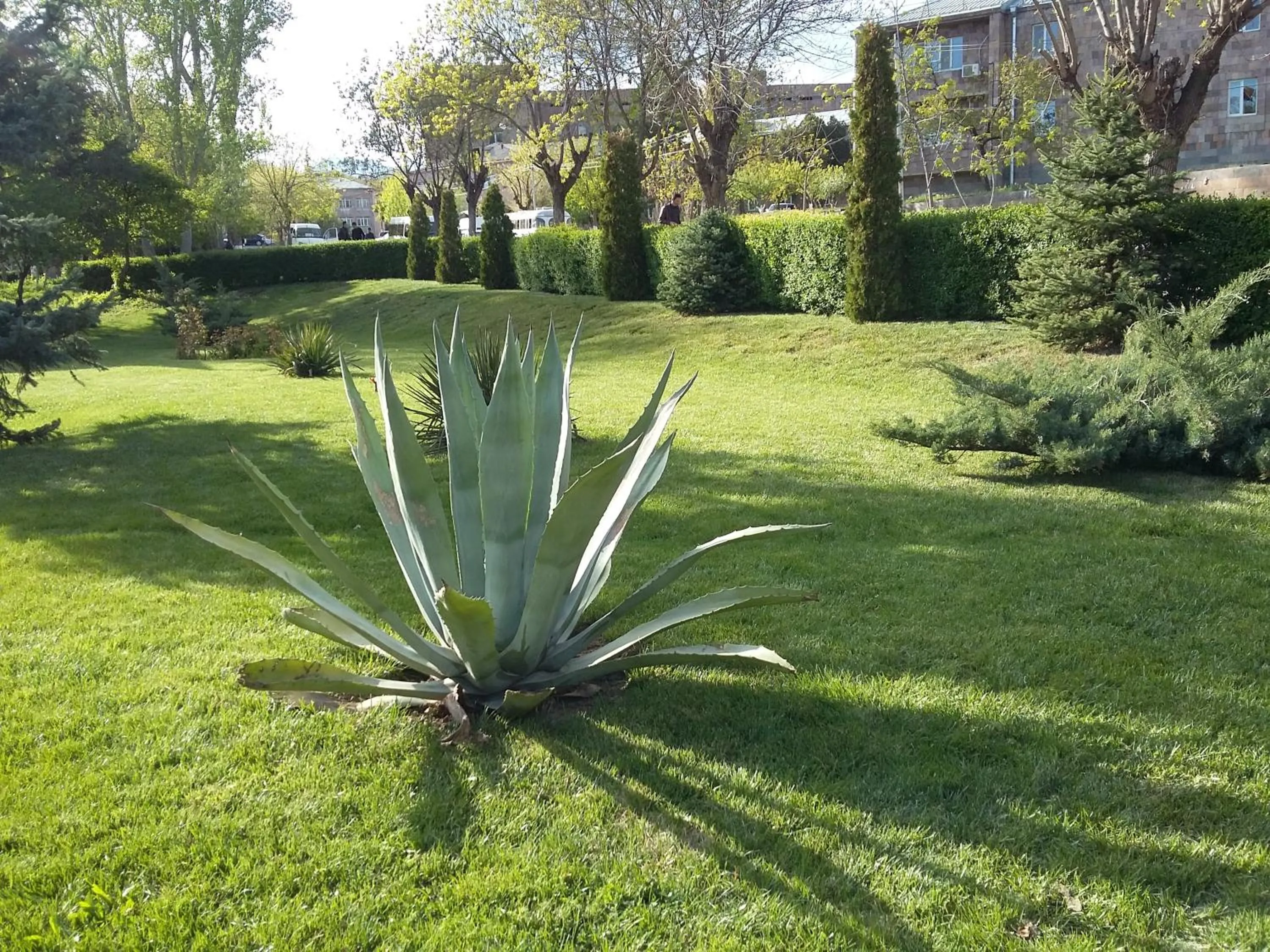 Natural landscape in Shushan GUEST HOUSE