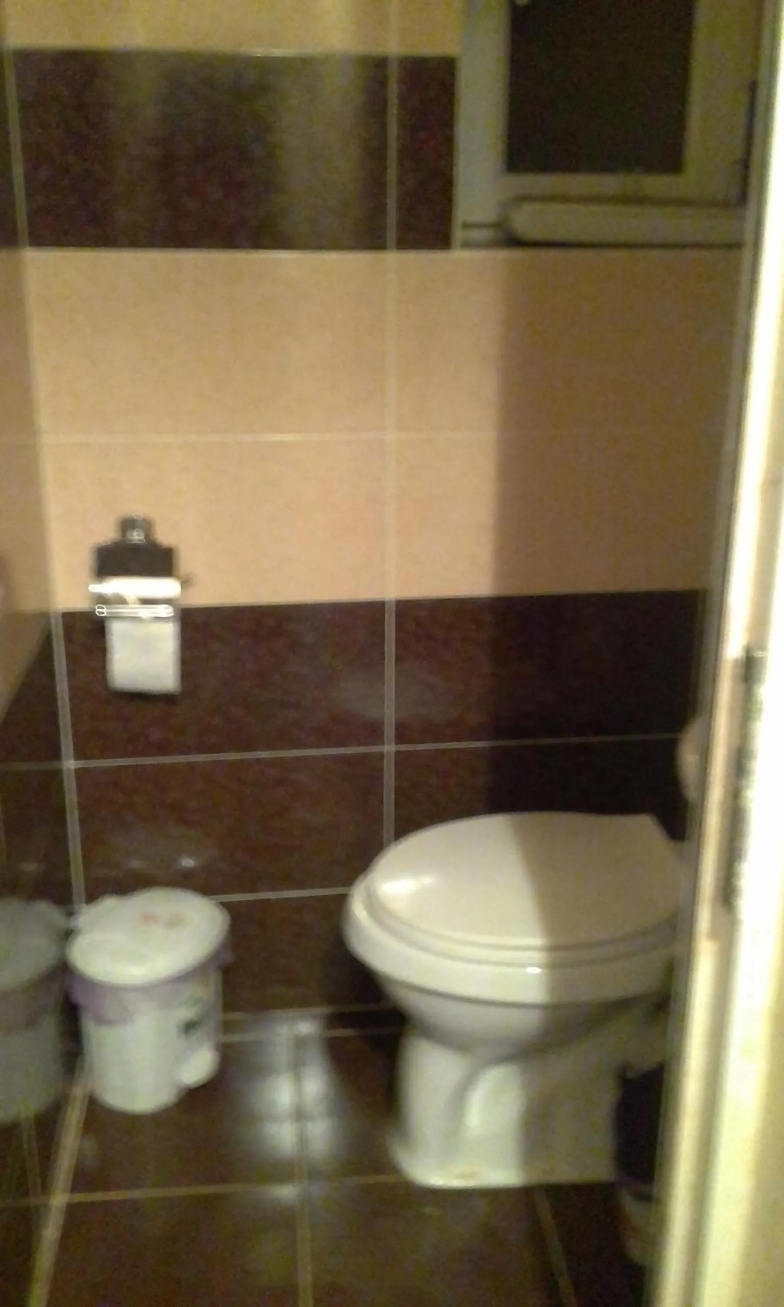 Toilet in Shushan GUEST HOUSE