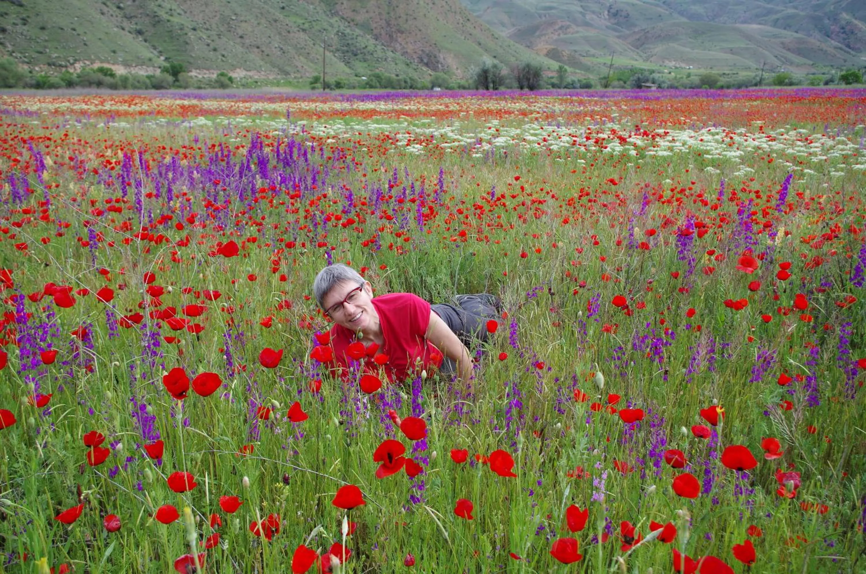 Natural landscape in Shushan GUEST HOUSE