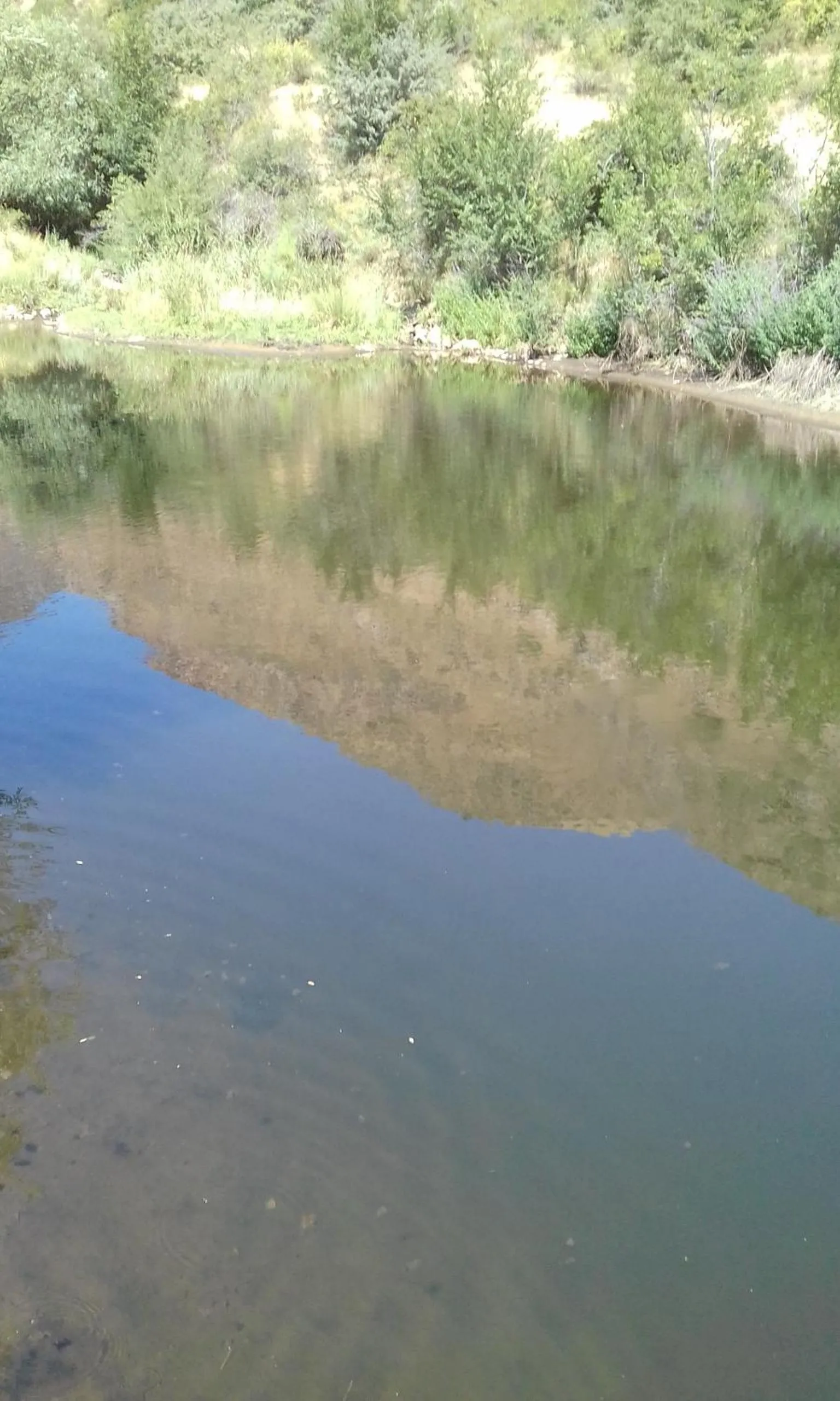 Natural landscape in Shushan GUEST HOUSE